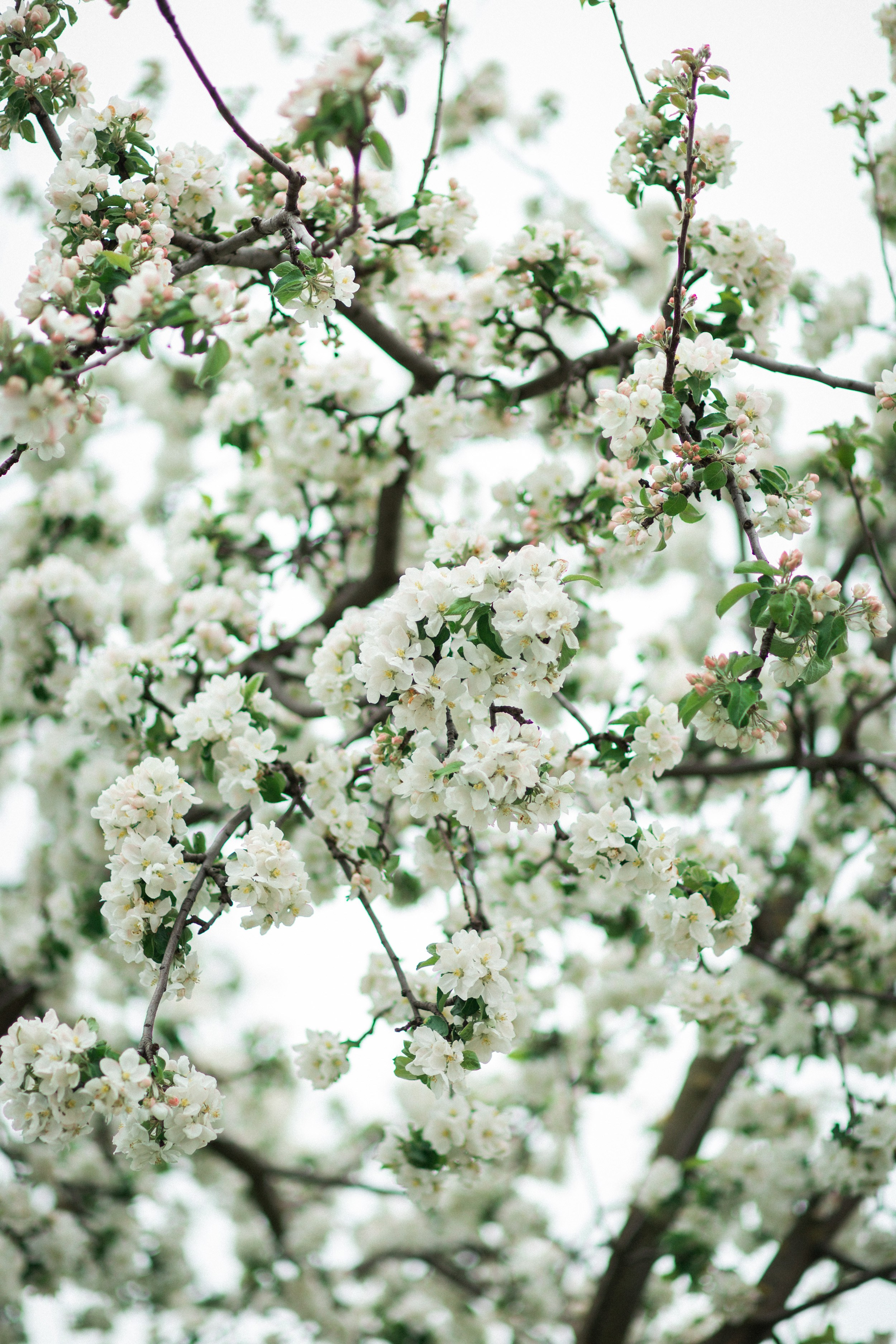 Контакты – фотограф Дмитрий Баранов. Портретный фотограф в Иваново — Дмитрий Баранов