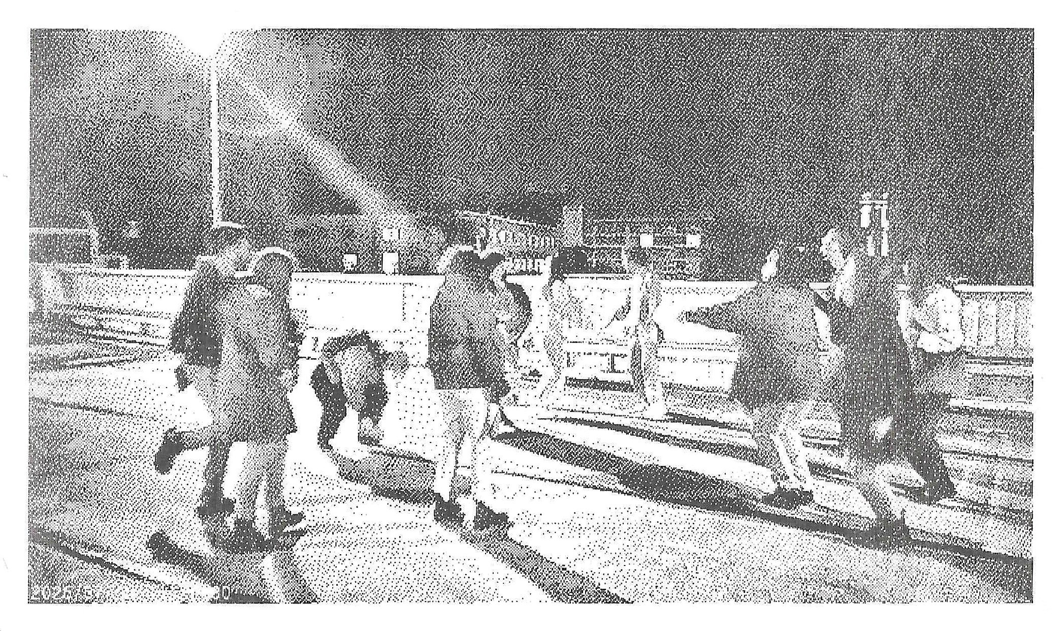 Dreamwalk Parking Lot. Jana Romanova