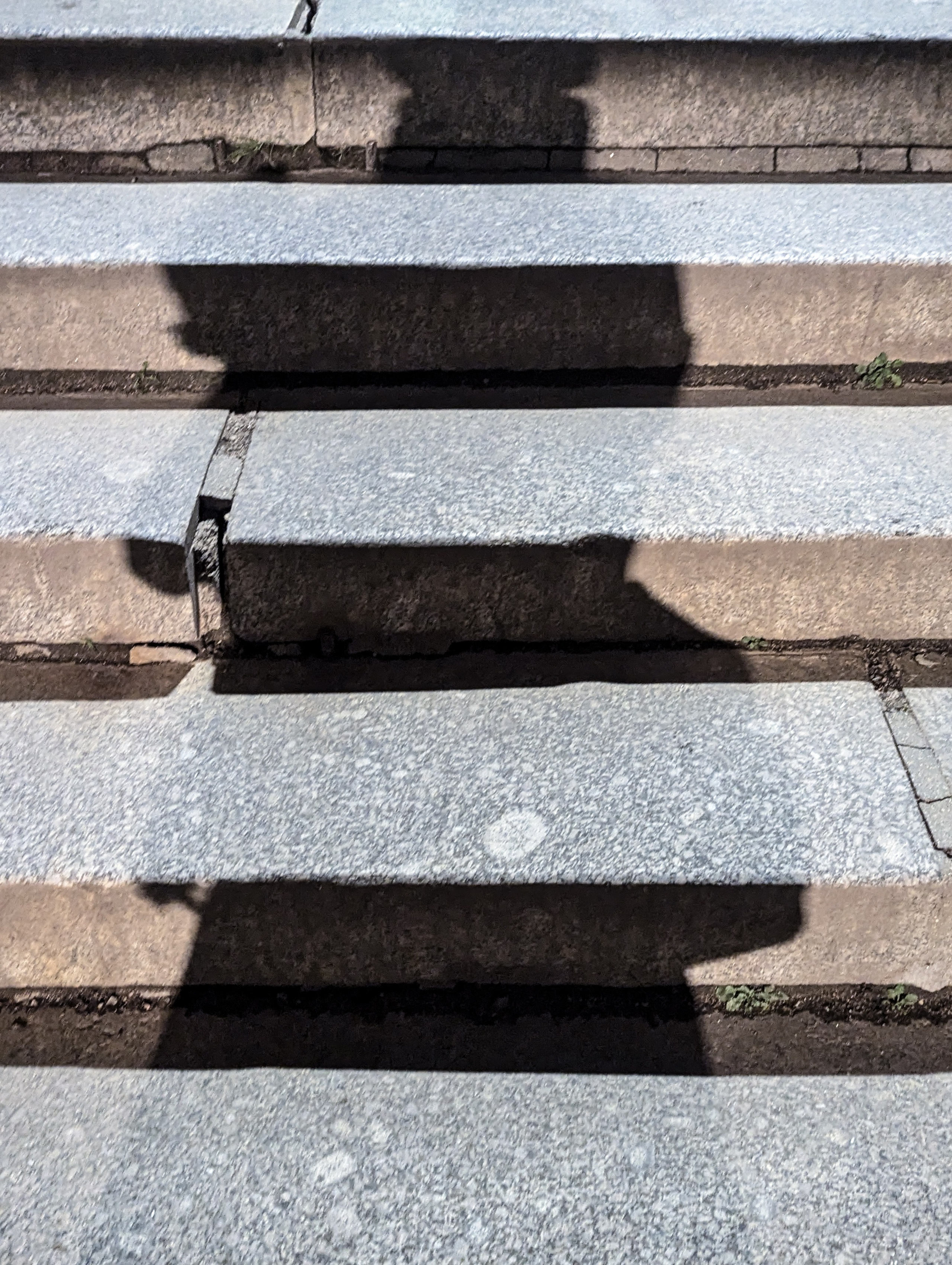 Мир вокруг: мобильная фотография — быстрая композиция. Любовь Каширская — фотограф для малого бизнеса и специалистов