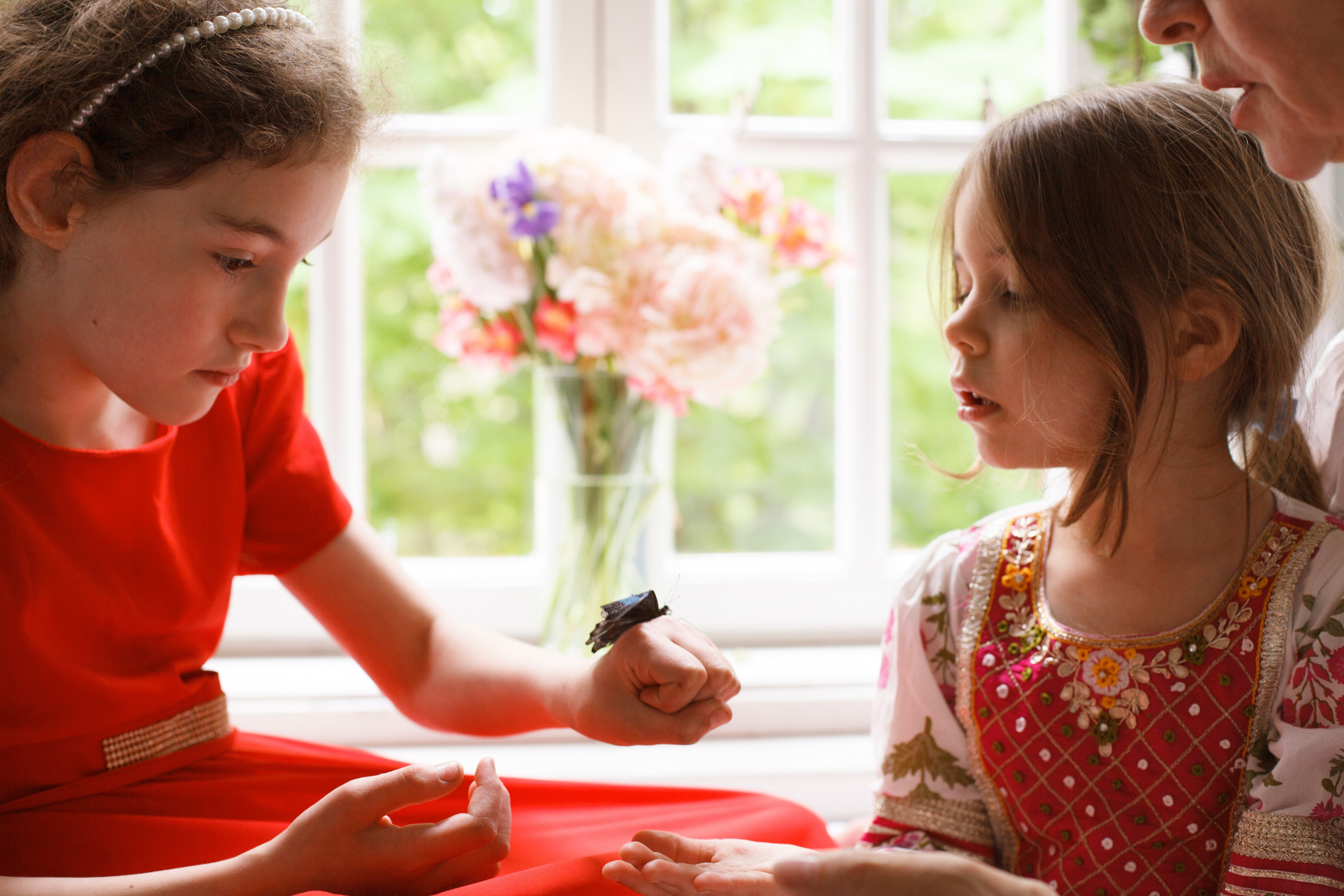 Бабочки и радость. ФОТОГРАФ ЛИЛИЯ БИЧУРИНА