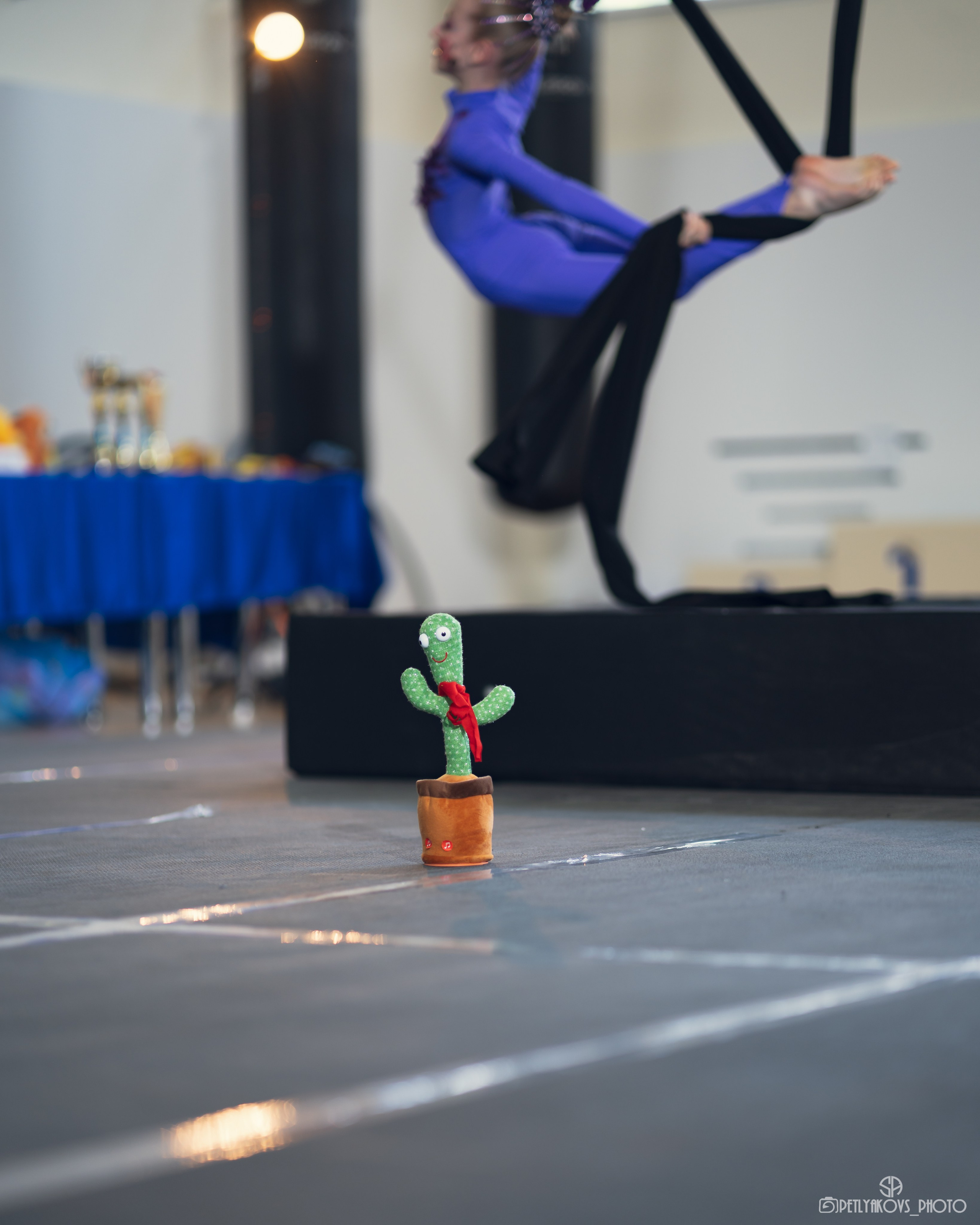 Соревнования по воздушной гимнастике (репортаж). Фотограф, видеограф Пятигорск, Ставрополь, Ессентуки, Petlyakovs_photo
