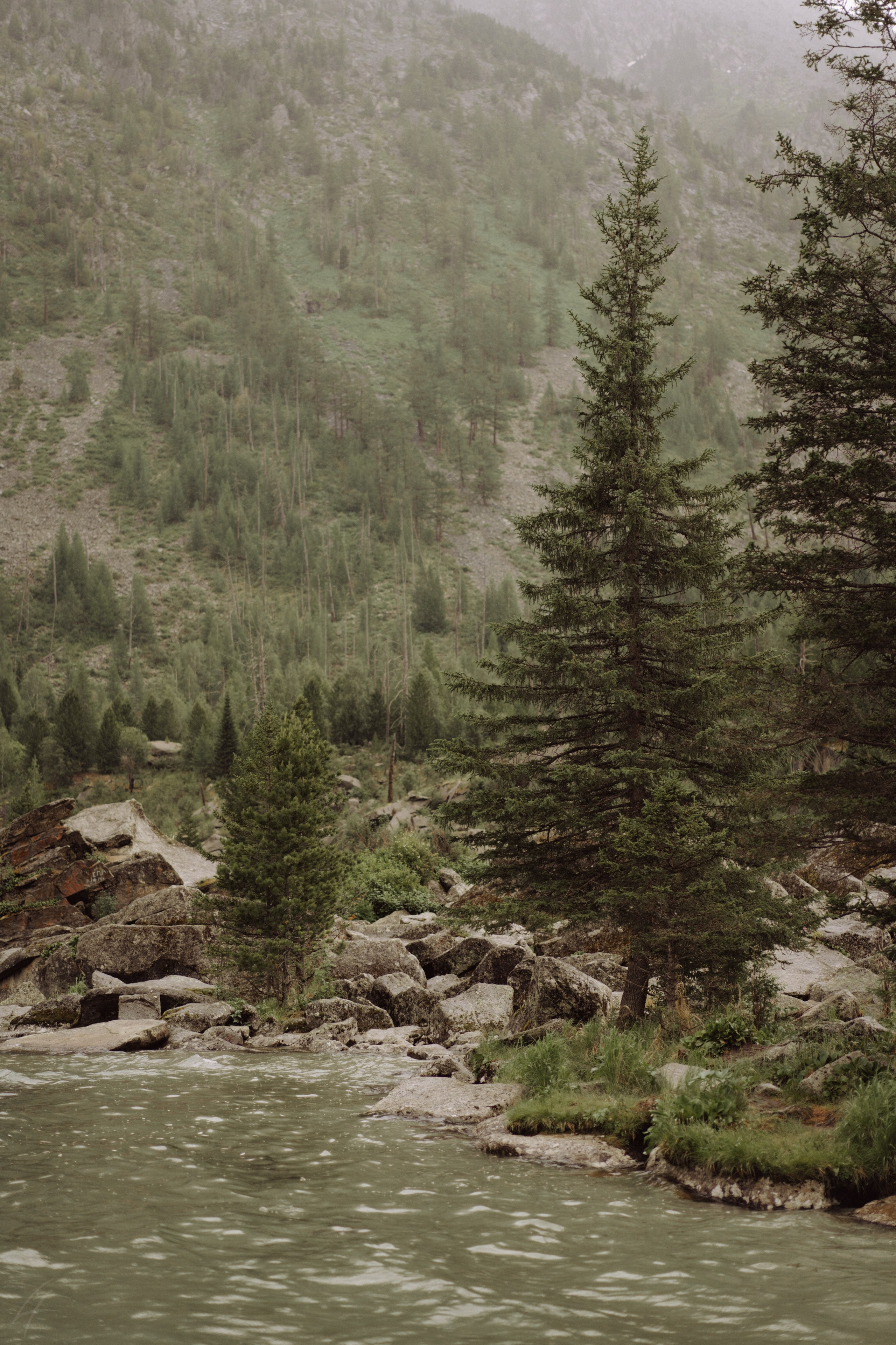 Алтай 2025. Лиза Фирстова