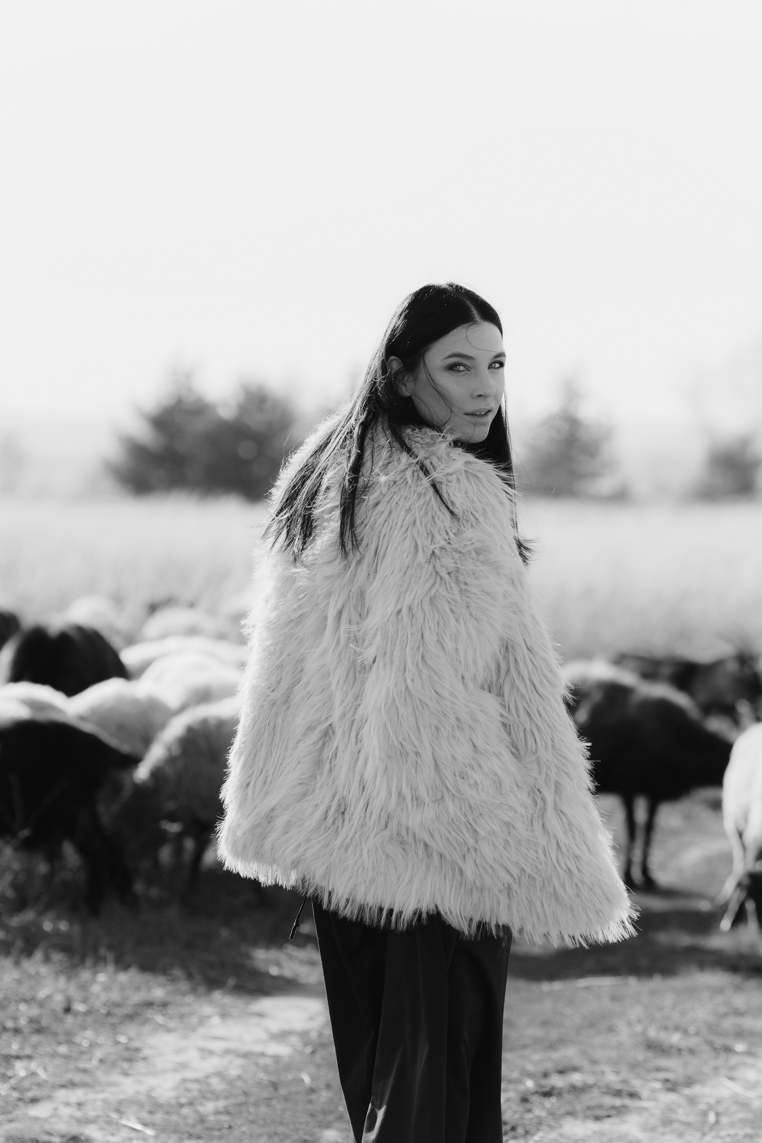 Охота на овец