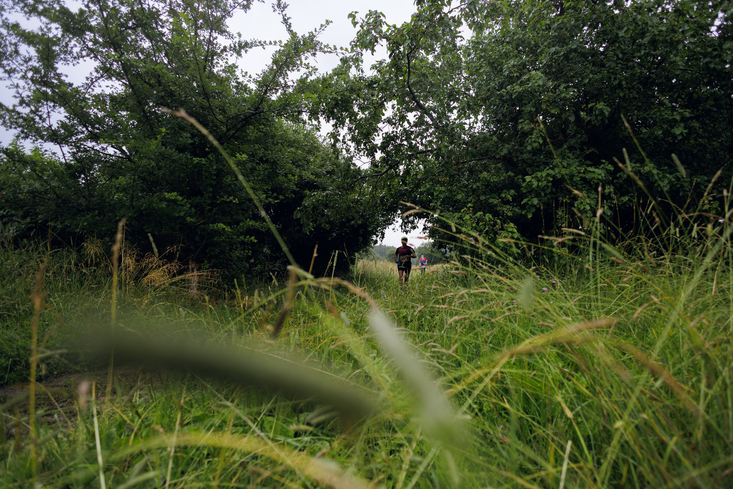 CityTrail Битца от Wild Trail