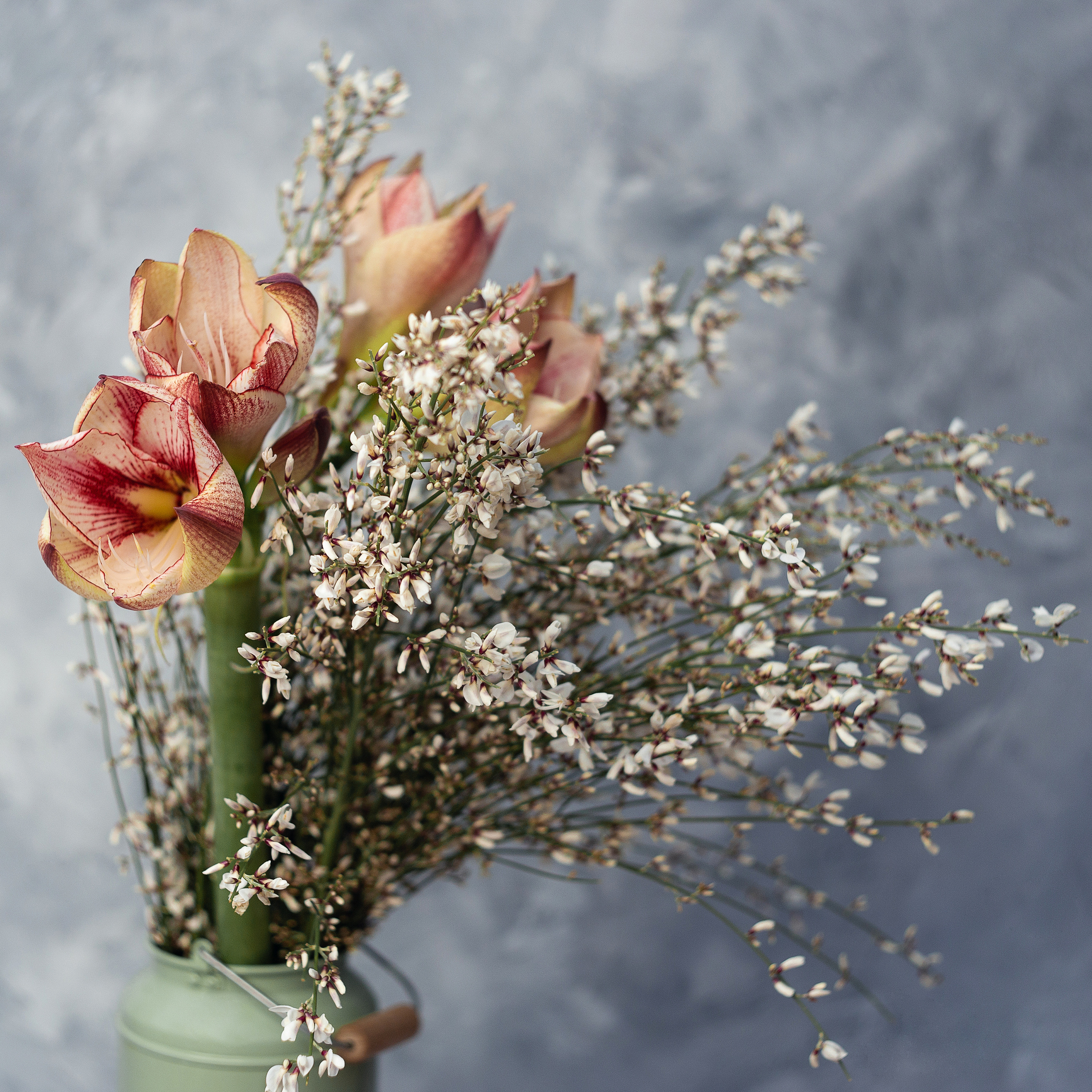 Предметная Фотосъемка Цветов. Фото, которые продают