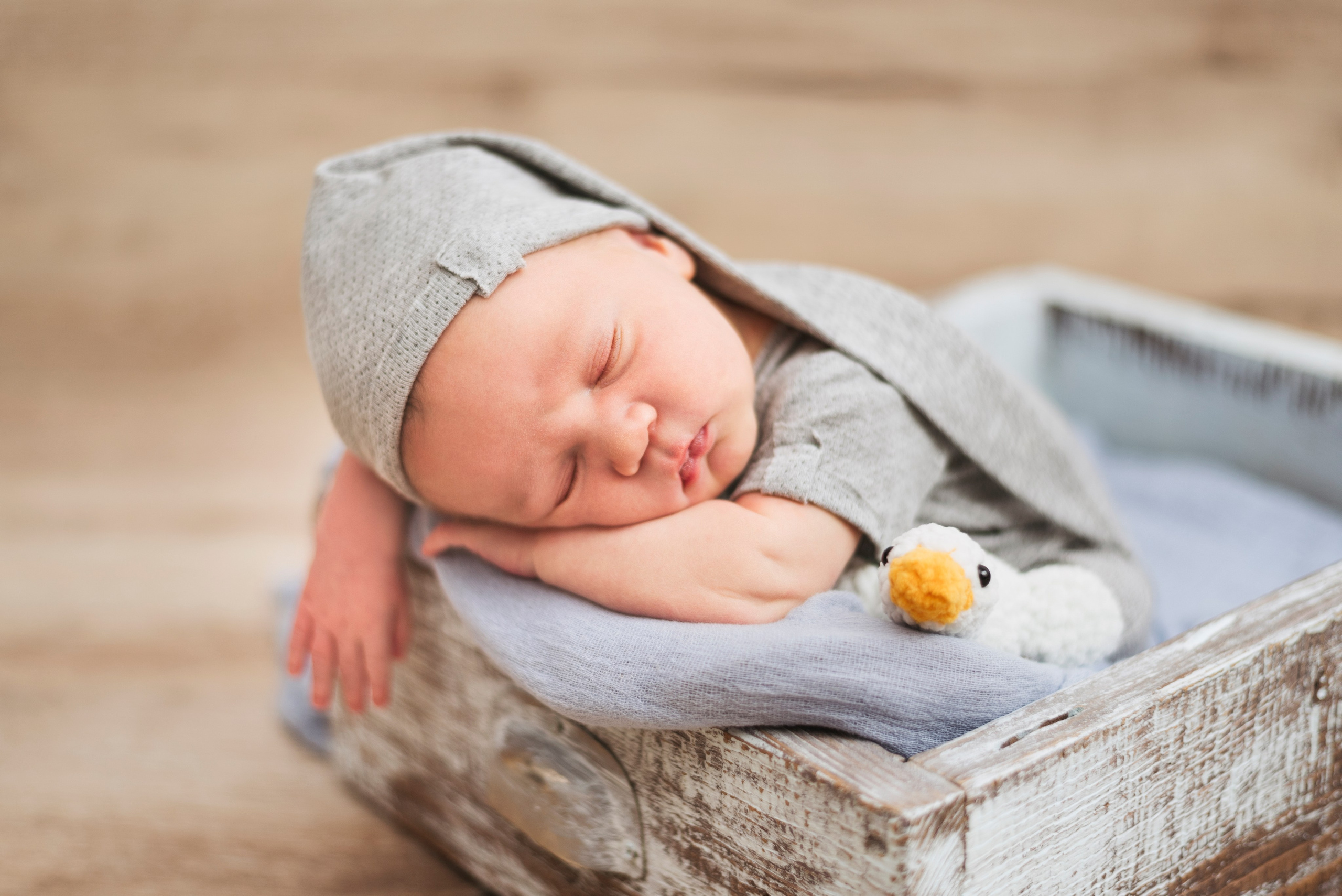 Уссурийск фотограф новорожденных | Анастасия Лапшина