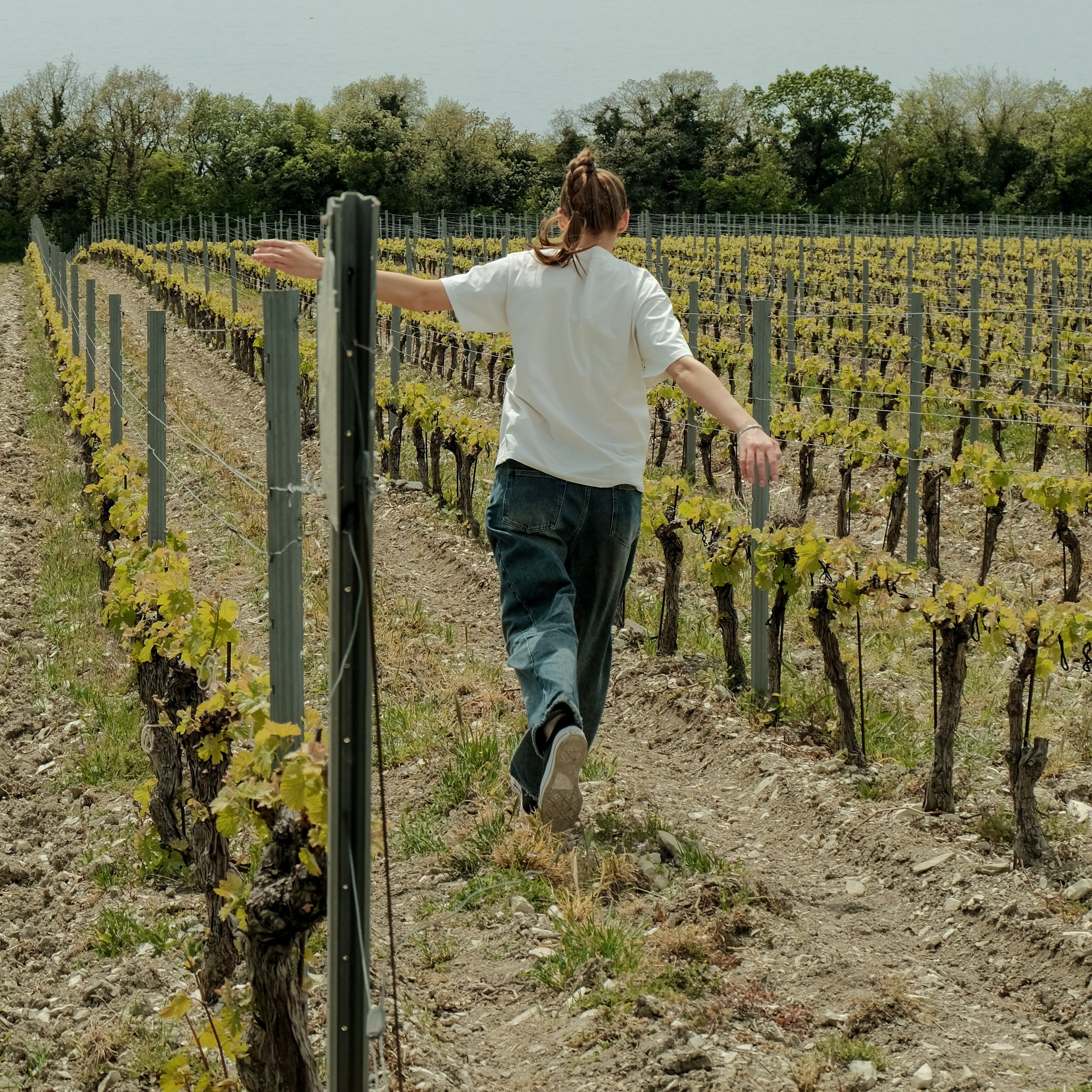 Russian wineries. Creative travel photographer — Berg Daria