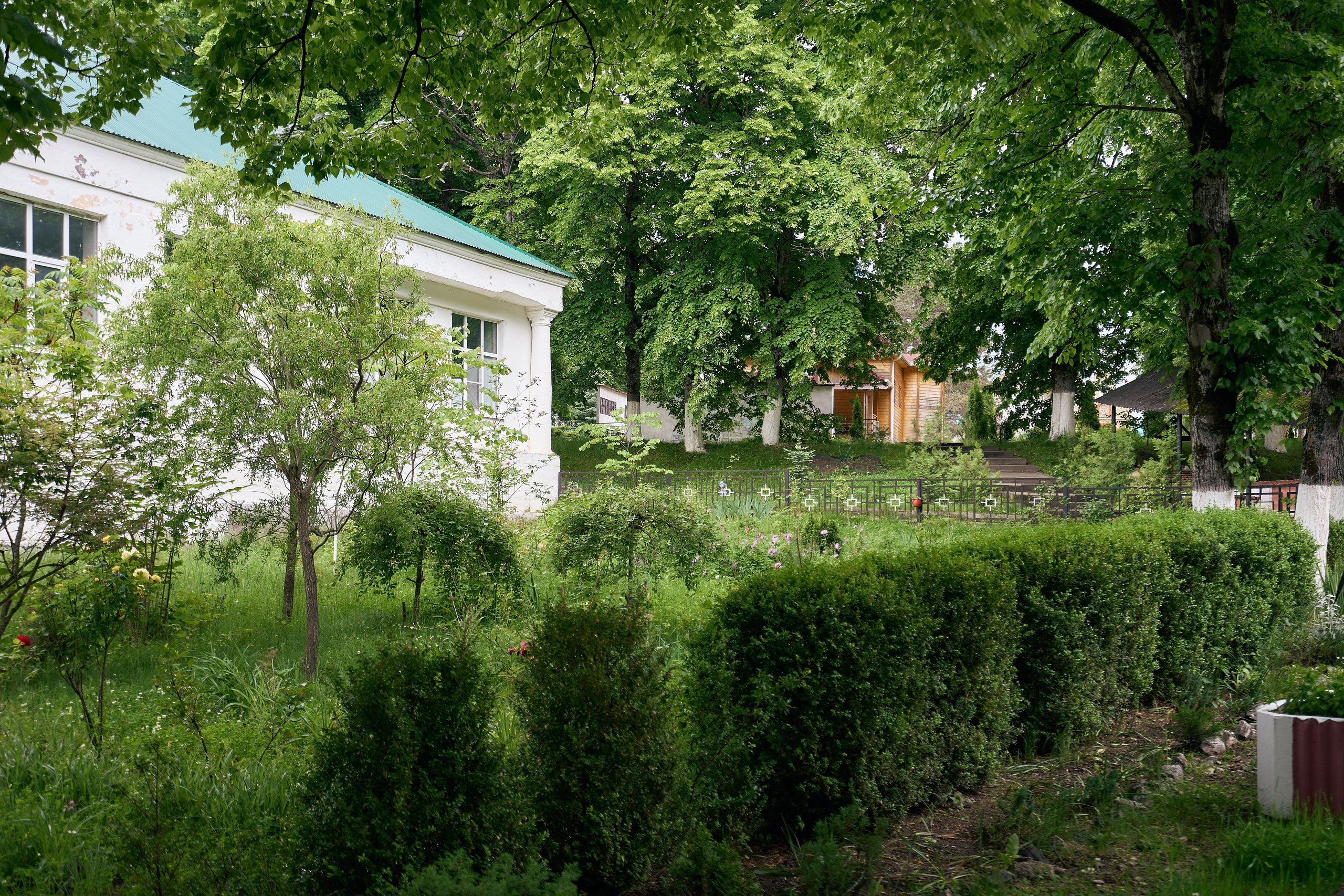 Монастырь. Петр Ступень. Свадебное, семейное фото и видео. Москва. Краснодар