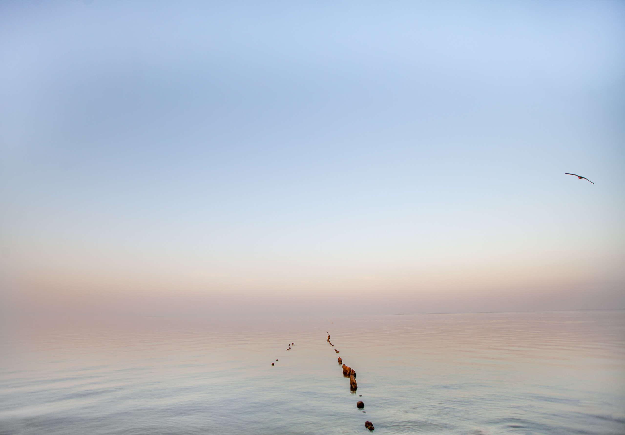 Профессиональный фотограф Чехарина Анна / pro photographer Chekharina