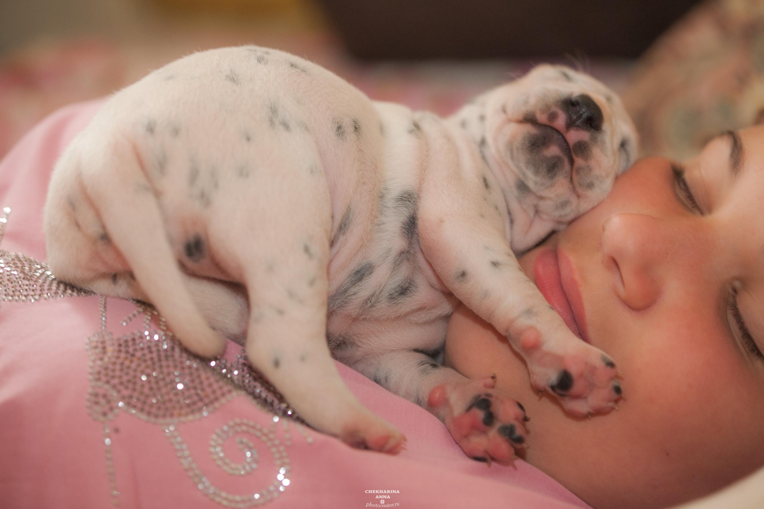 Профессиональный фотограф Чехарина Анна / pro photographer Chekharina