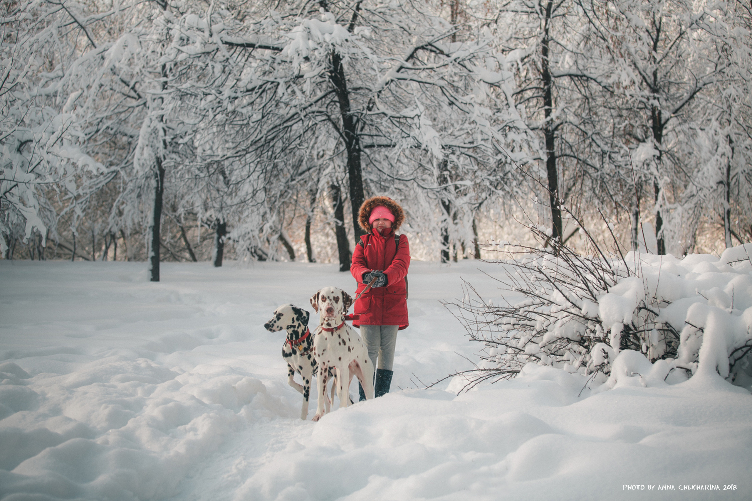 Профессиональный фотограф Чехарина Анна / pro photographer Chekharina