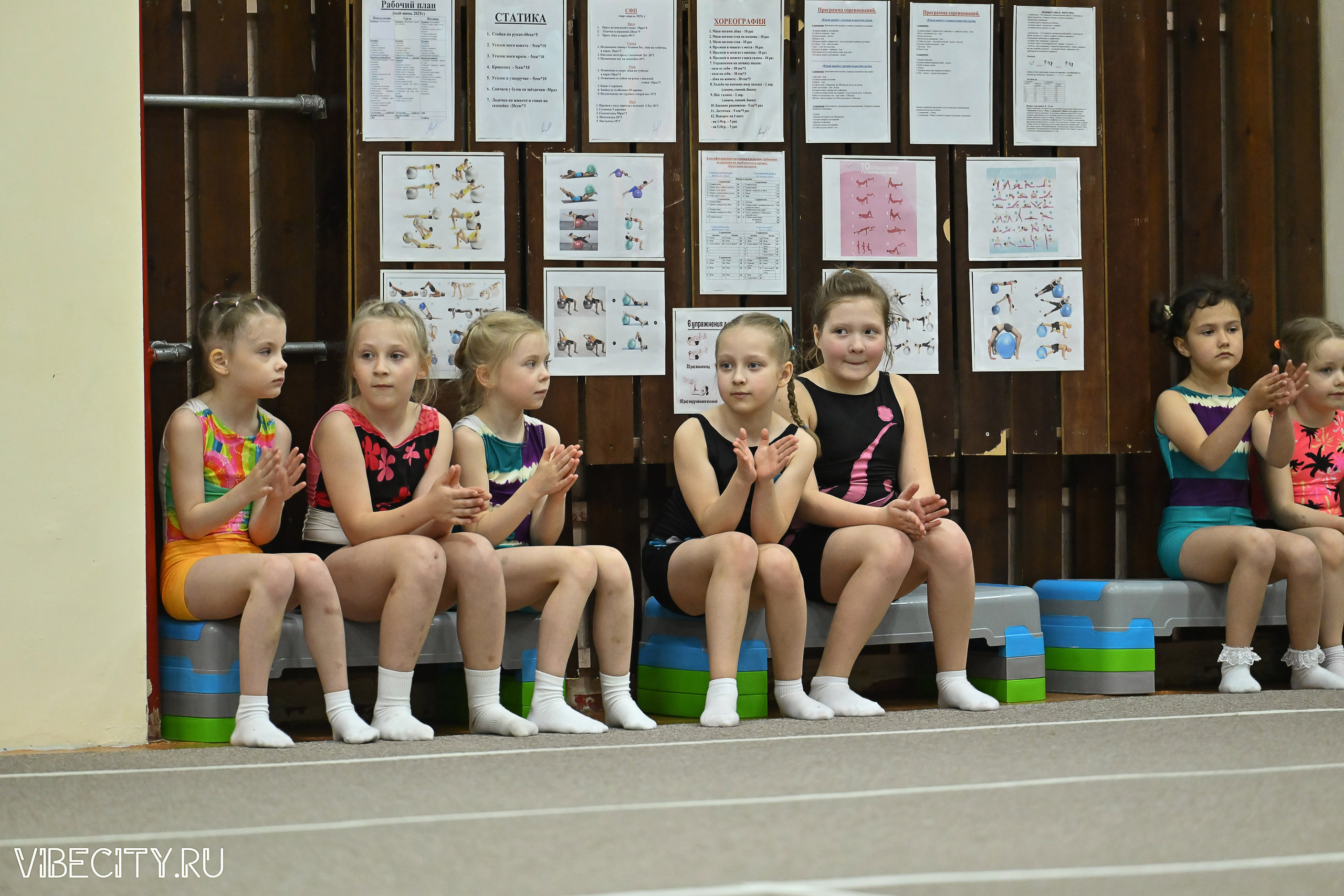 Контрольная тренировка по спортивной гимнастике. VIBECITY.RU Вайб Сити Ру Фоторепортажи Фотоотчеты Калининград