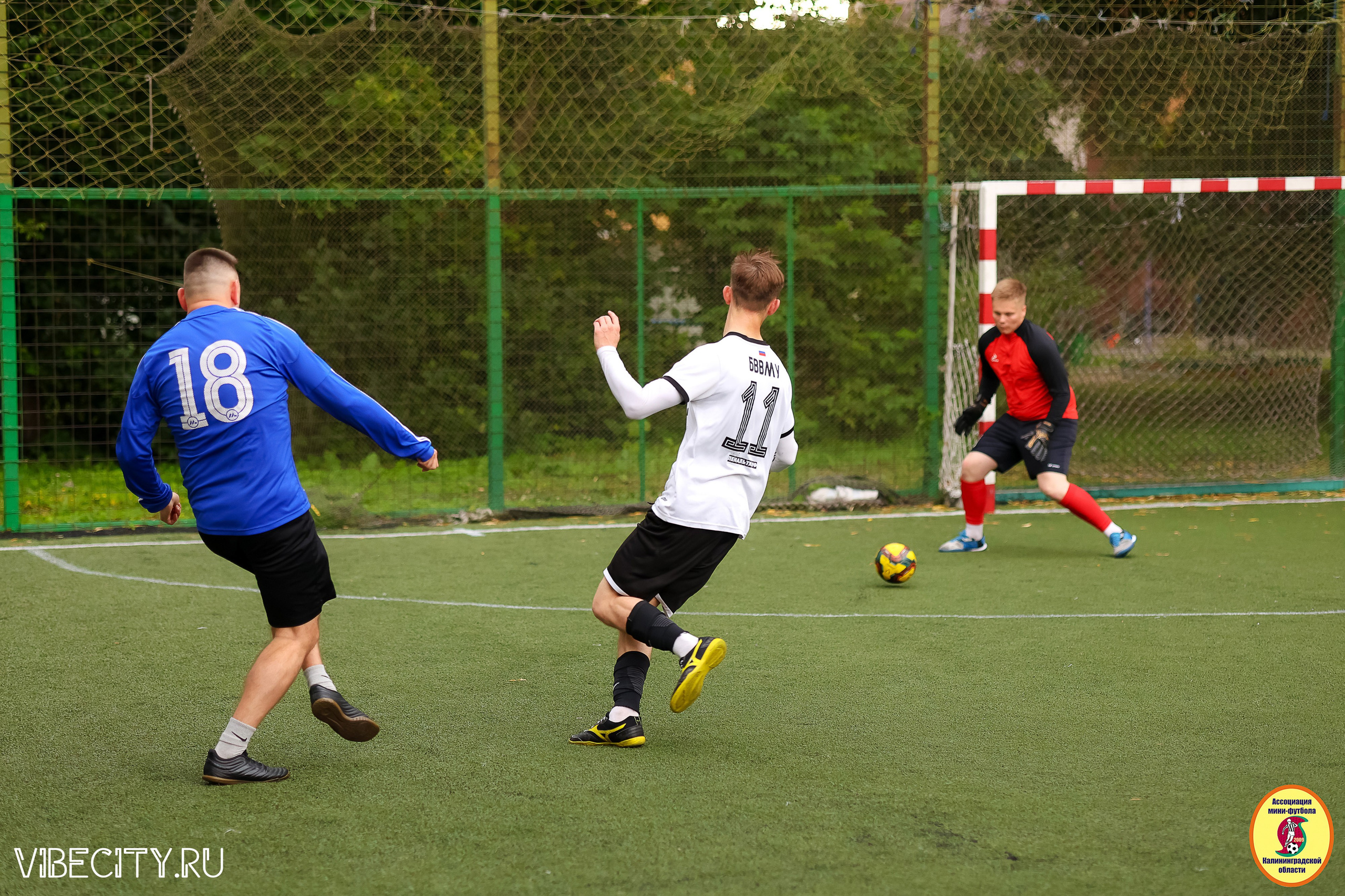 ИГРЫ МИНИ-ФУТБОЛЬНОЙ И КОРПОРАТИВНОЙ ЛИГИ. VIBECITY.RU Вайб Сити Ру Фоторепортажи Фотоотчеты Калининград