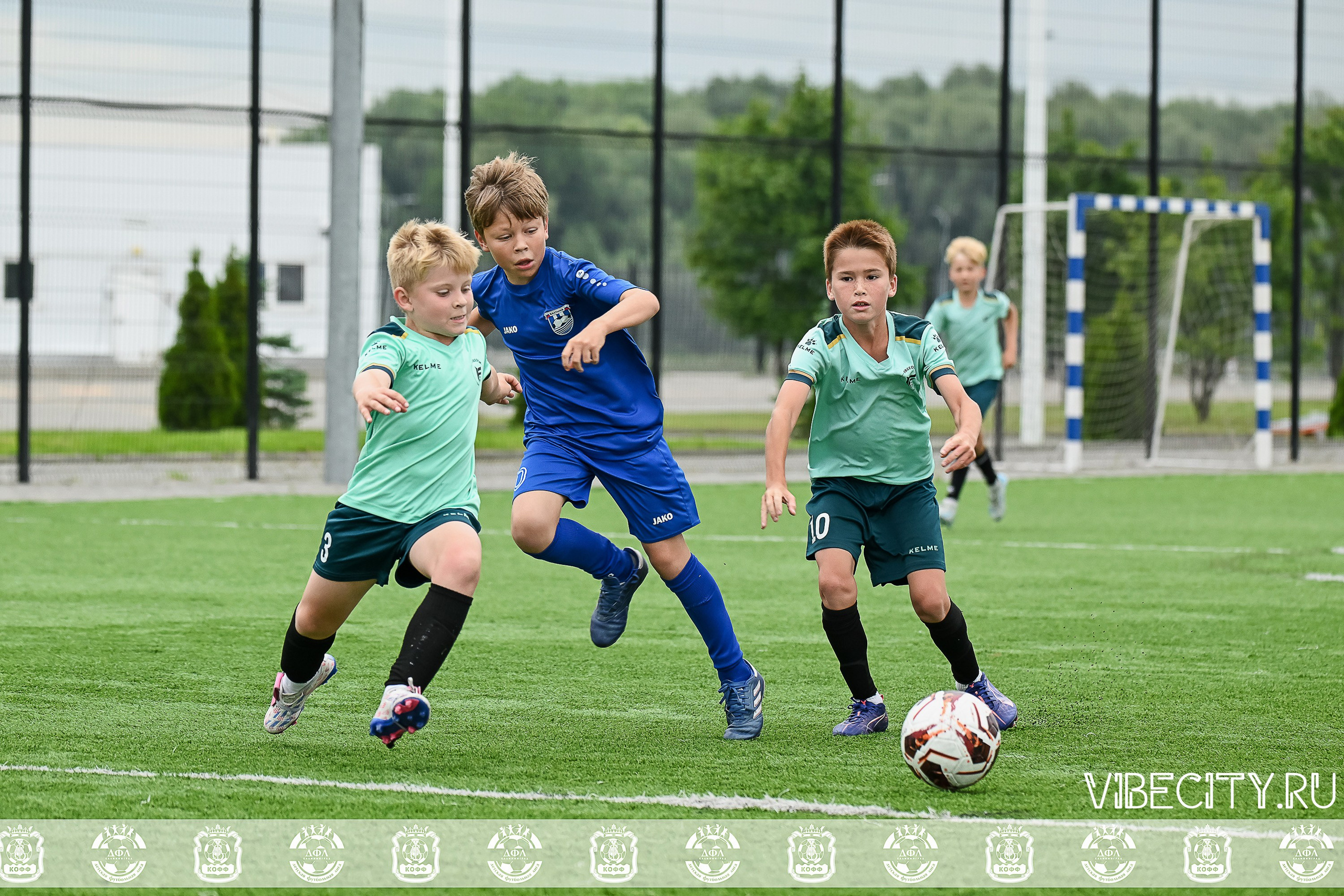 Калининградская Детская Футбольная Лига. VIBECITY.RU Вайб Сити Ру Фоторепортажи Фотоотчеты Калининград