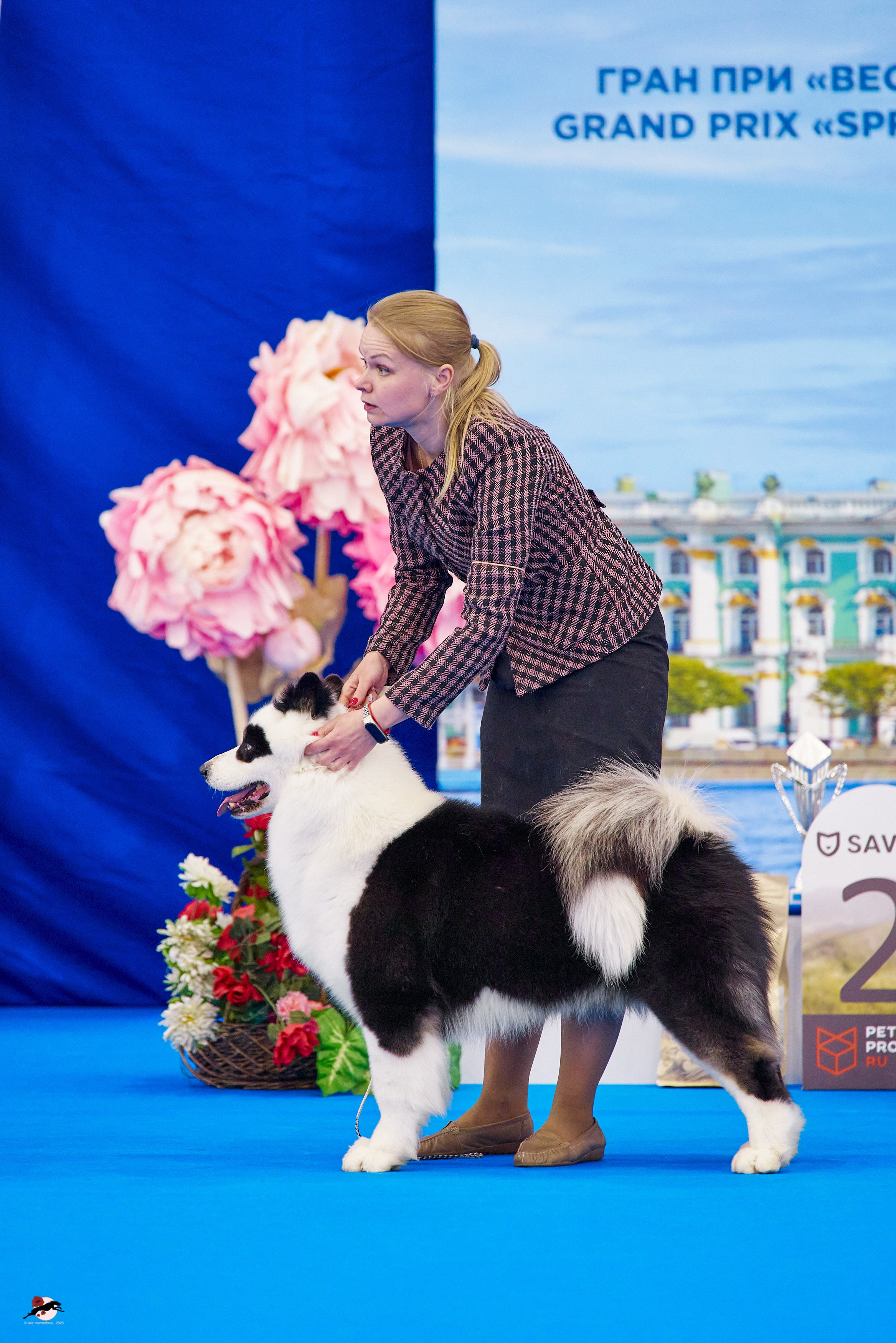 ГРАН ПРИ «ВЕСЕННИЙ ПЕТЕРБУРГ» & «СУПЕР КУБОК «ЭЛИТЫ»-2025»