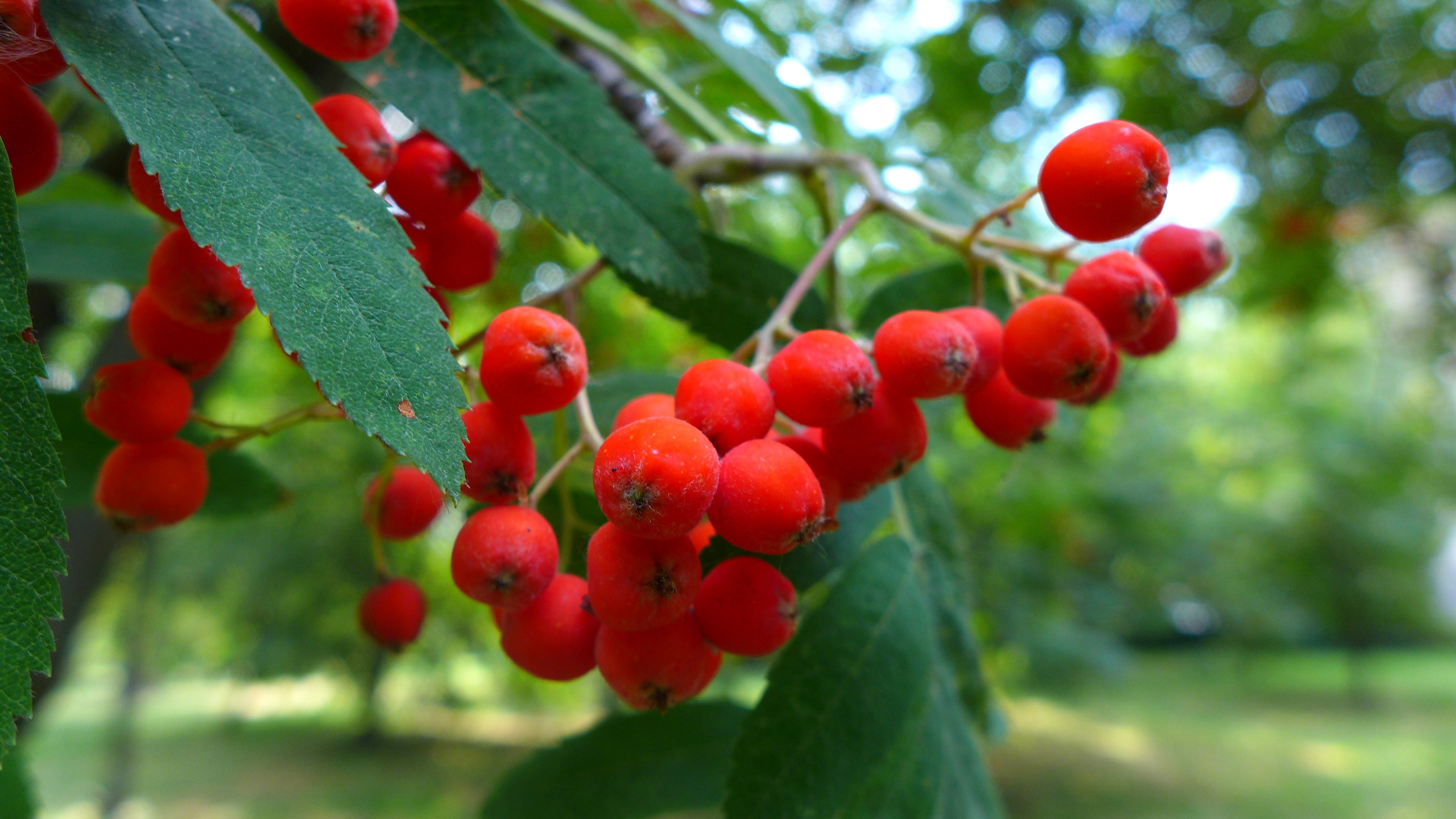 Осенняя фотосессия. Photo-gerz.ru
