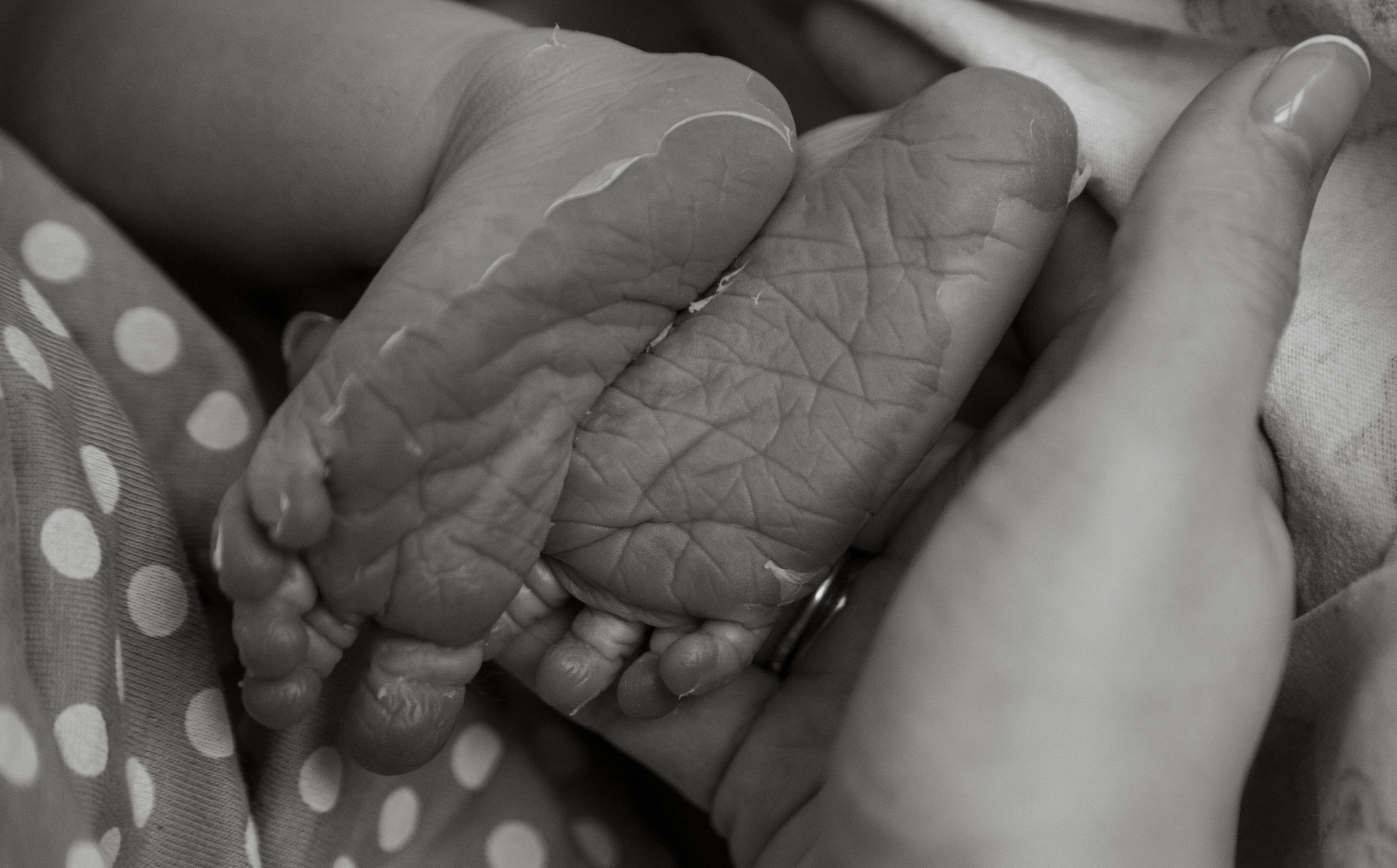 ПРАЙС. Вера Шевченко создаю фотографии