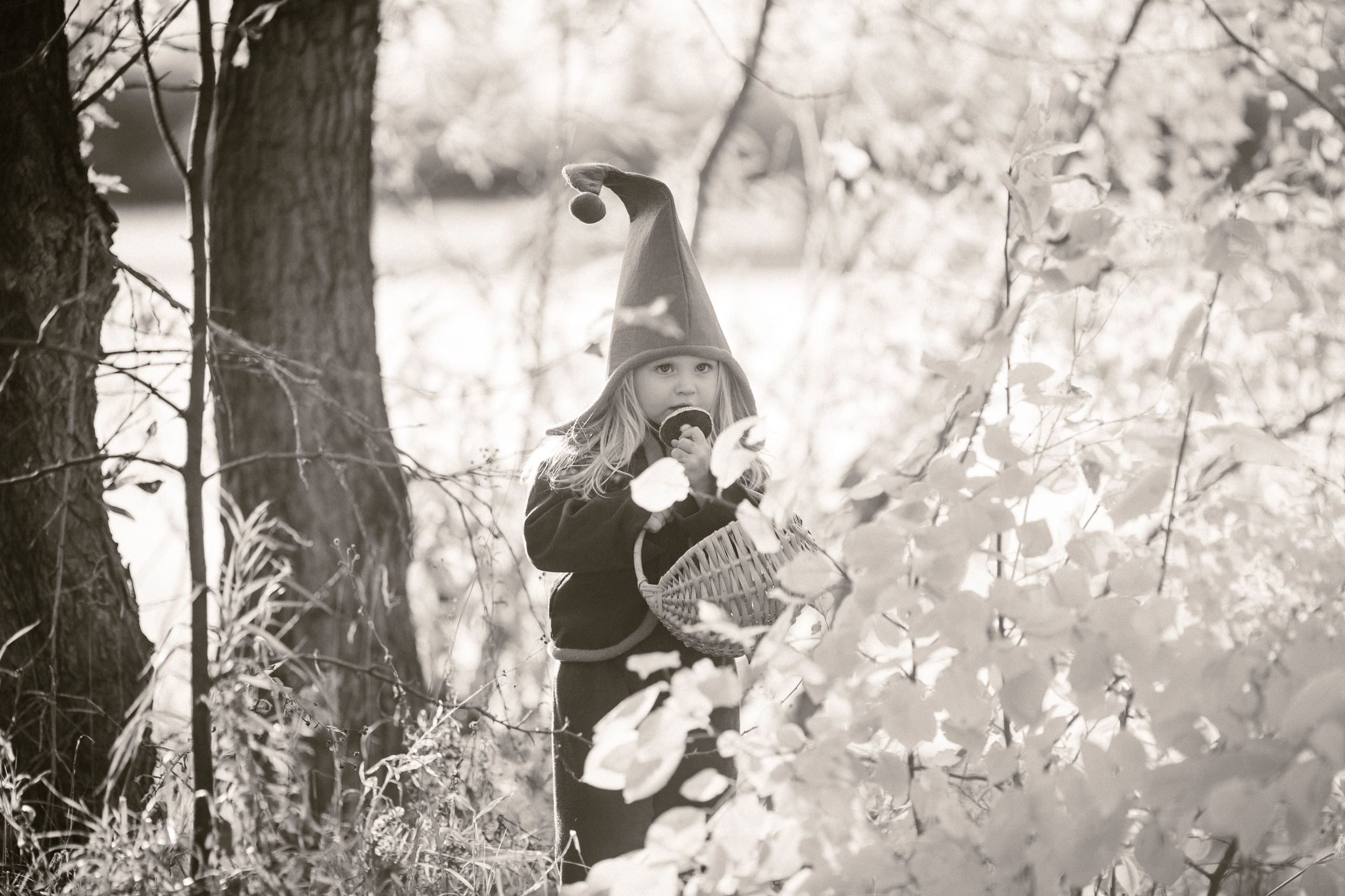 Лесные гномы