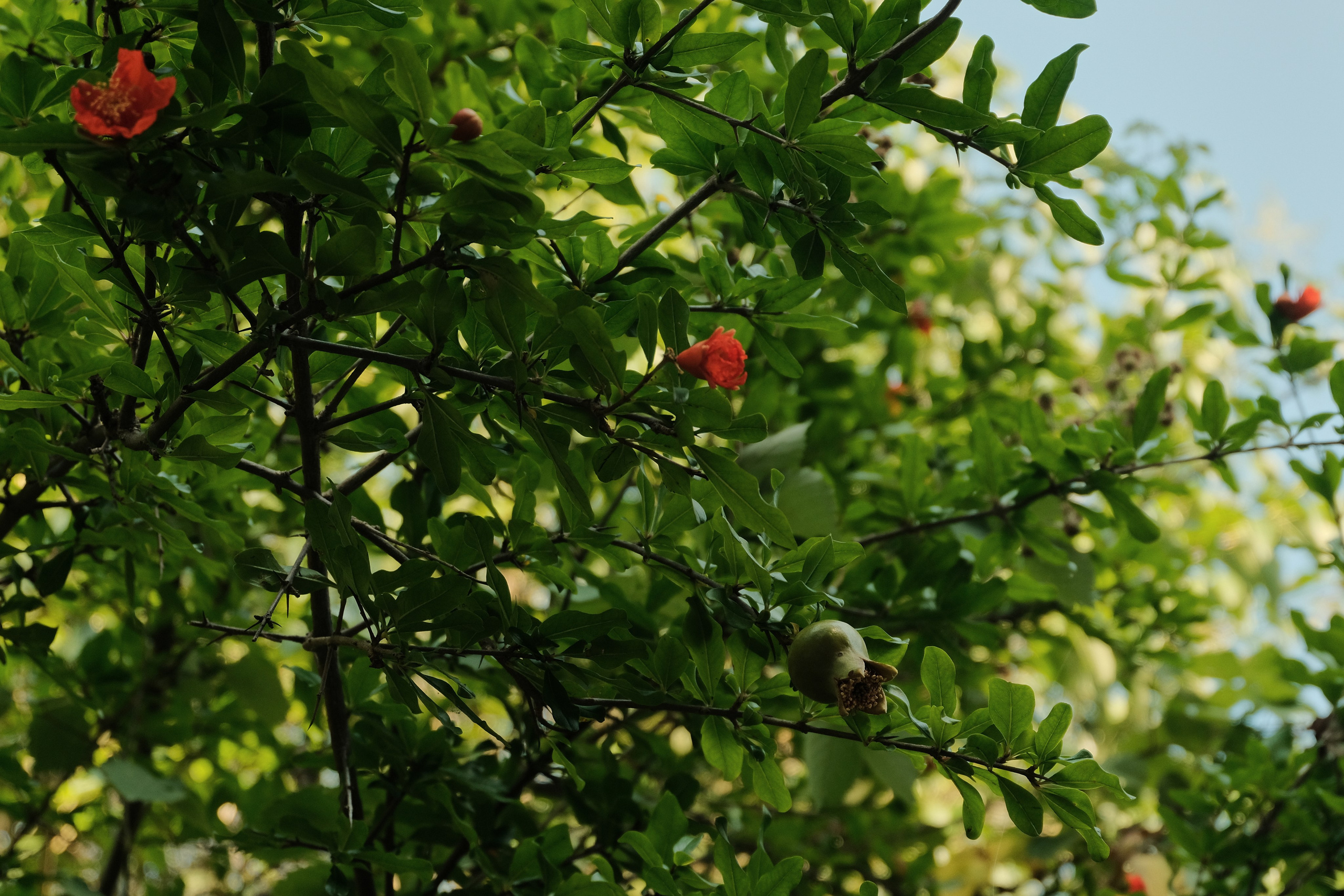 Montenegro. Creative travel photographer — Berg Daria