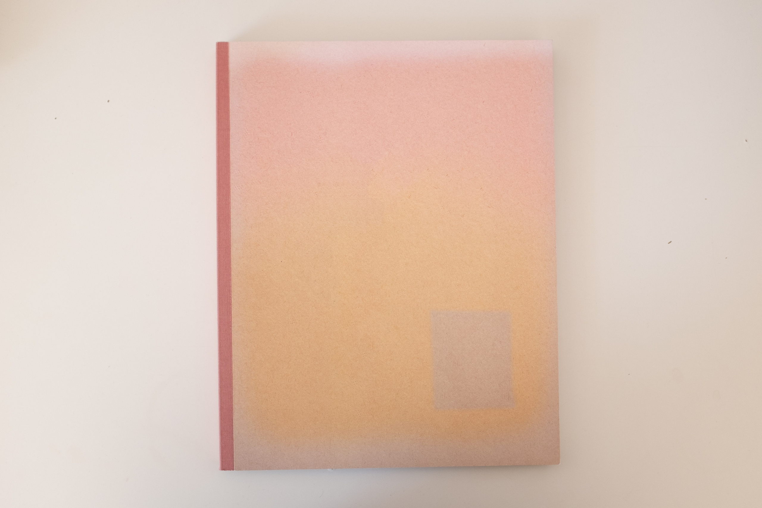 Фотокнижная библиотека Дмитрия Ширшова. Фотограф и исследователь фотографии из Санкт-Петербурга Елизавета Веприцкая