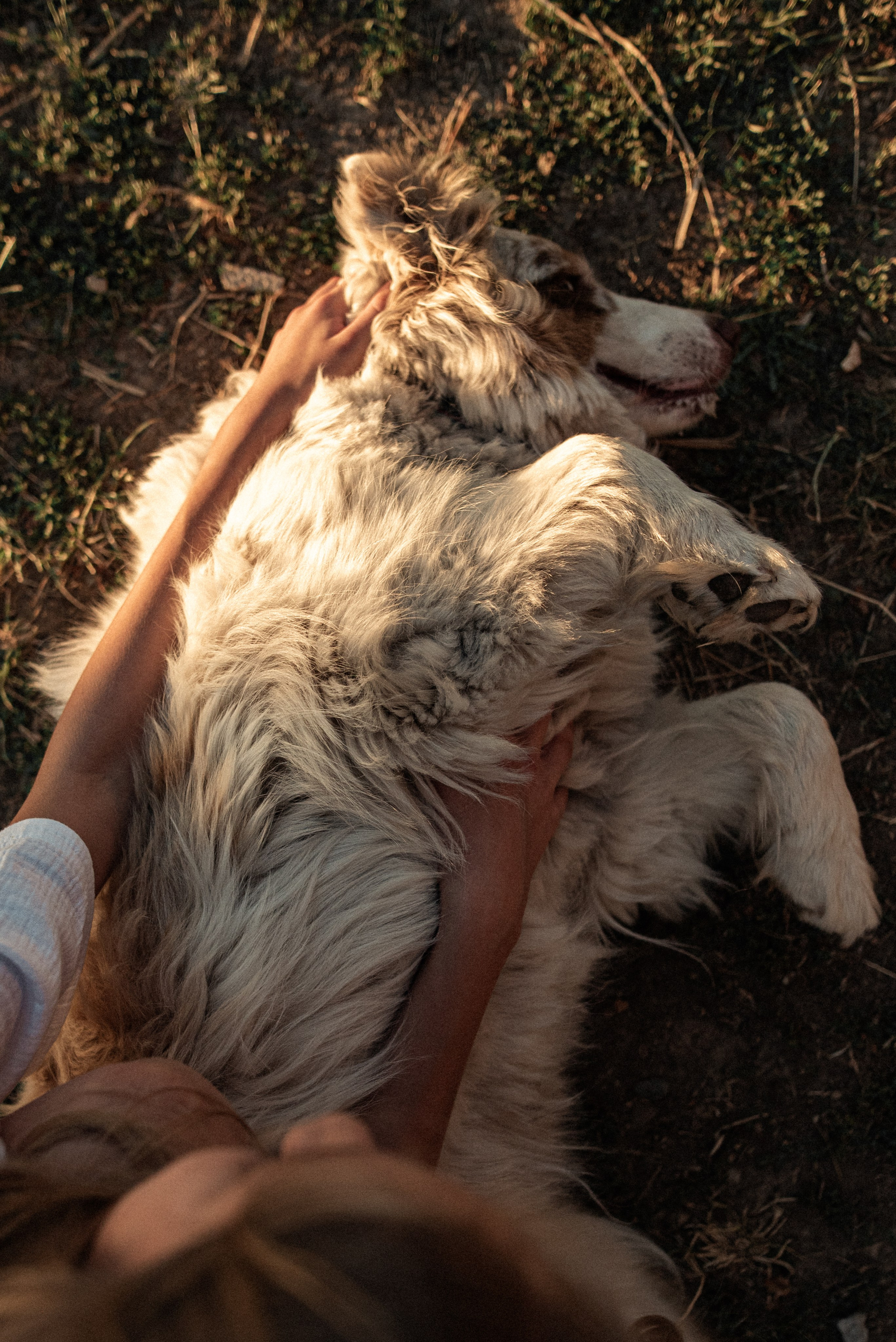 В гостях у Руны. Семейный и детский фотограф в Санкт-Петербурге Татьяна Дмитренко