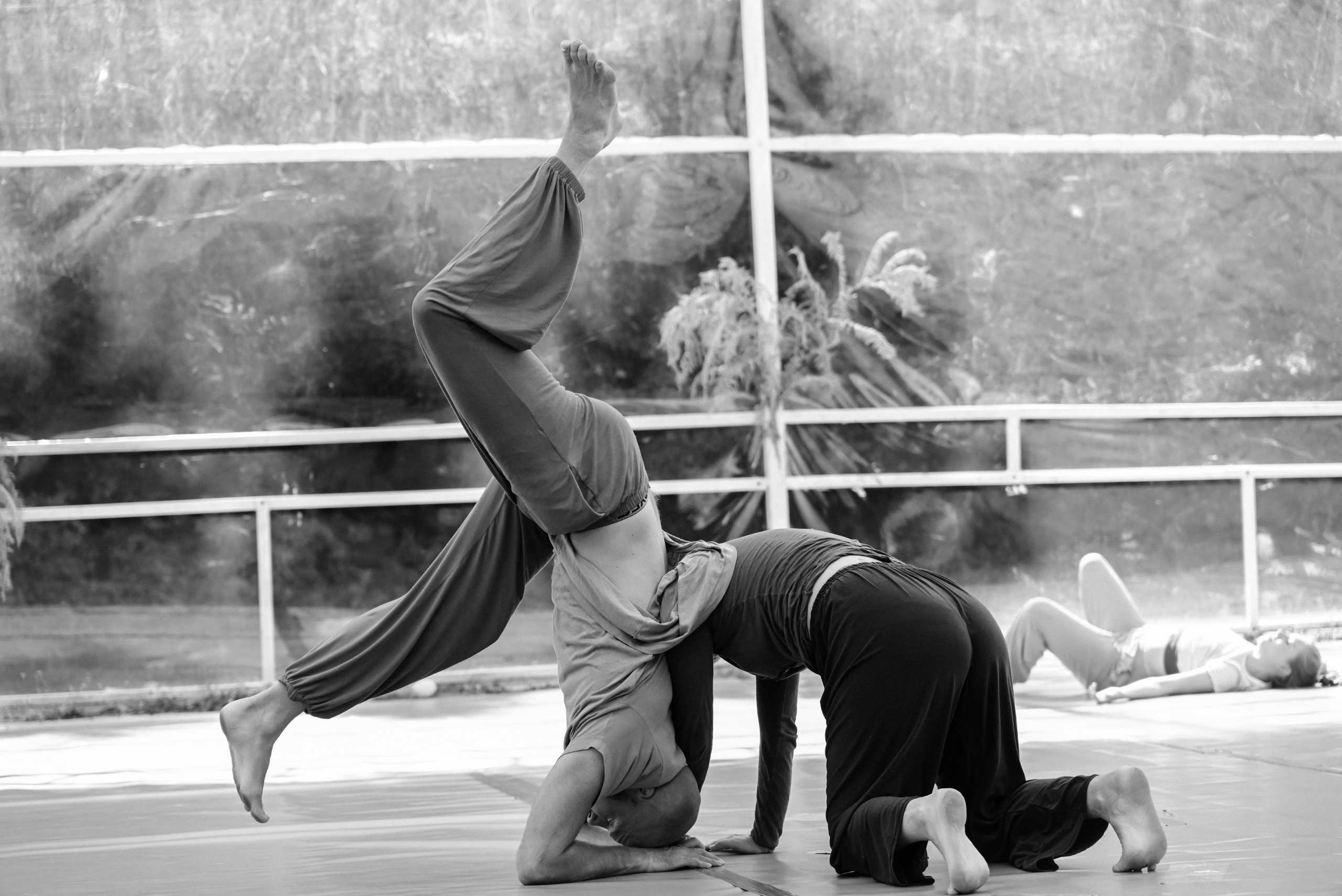 Contact Improvisation dance Photographer in London UK | Anasta Fo
