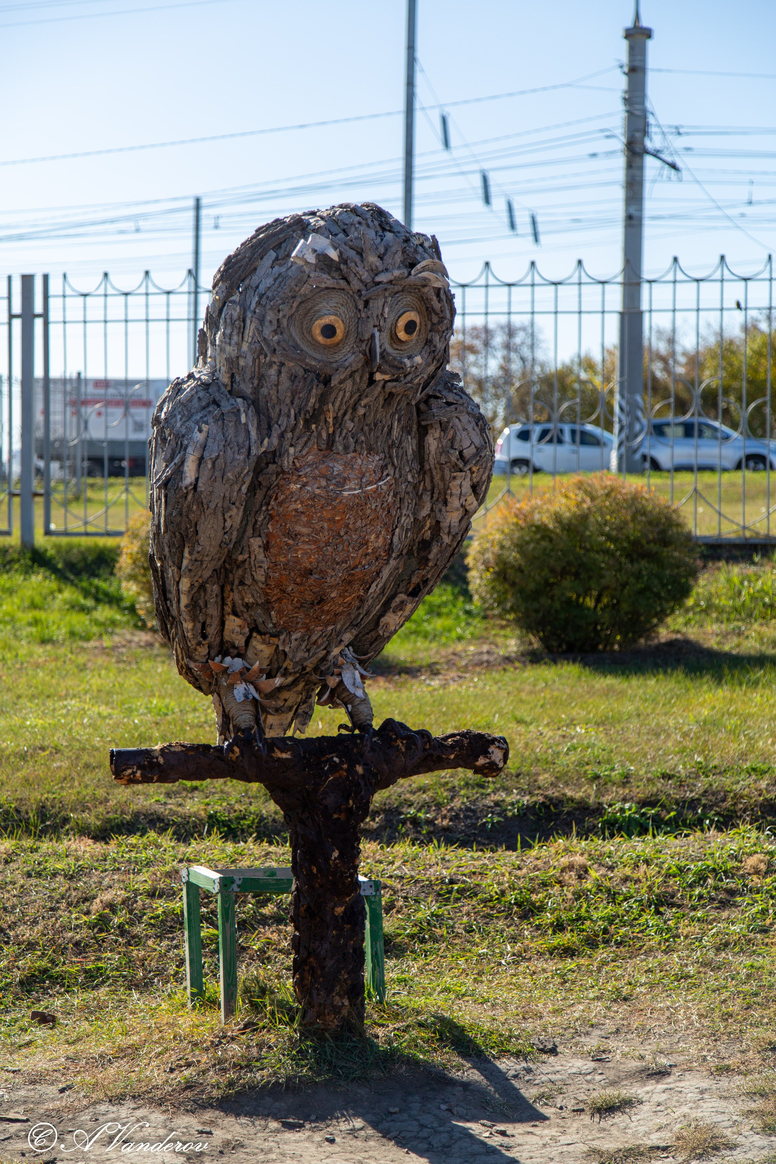 День ходьбы 2024. Фотограф Омск | Александр Вандеров