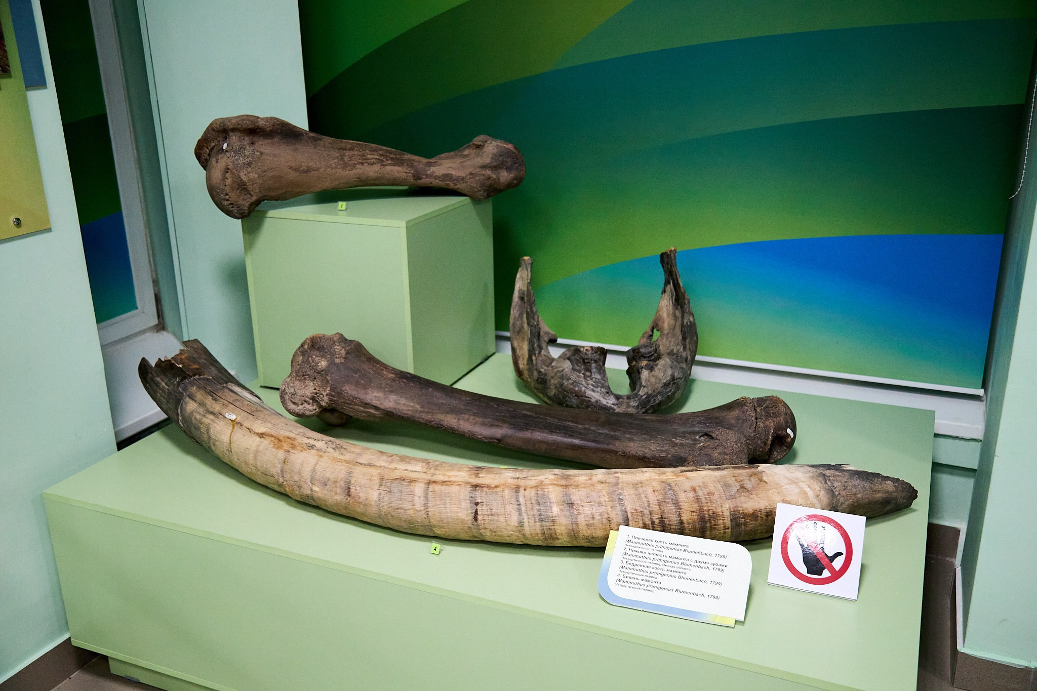 Ночь музеев 2025. Фотограф Омск | Александр Вандеров