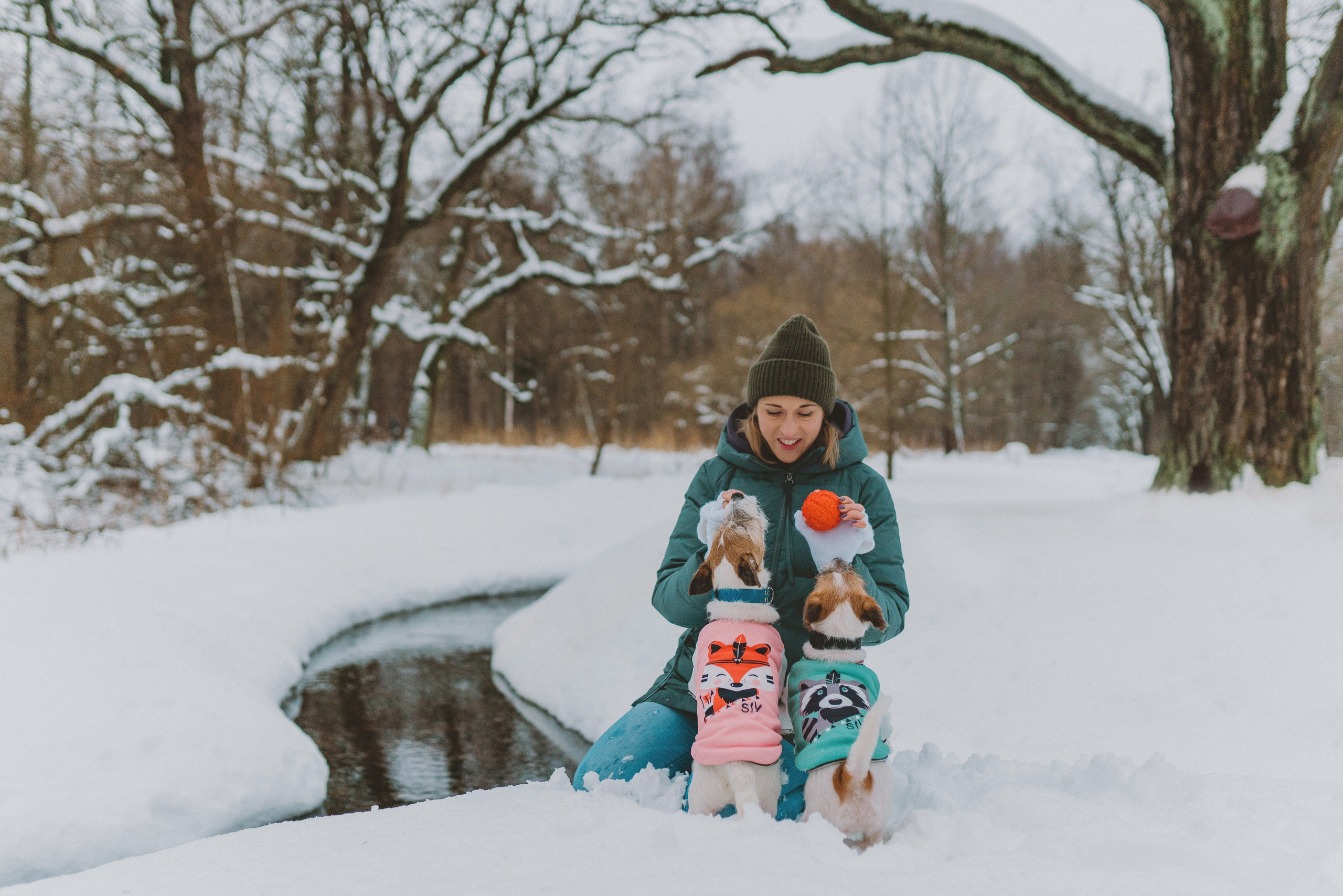 Цены за фотосессию с собакой. Фотограф анималист в Спб недорого Олеся Майорова
