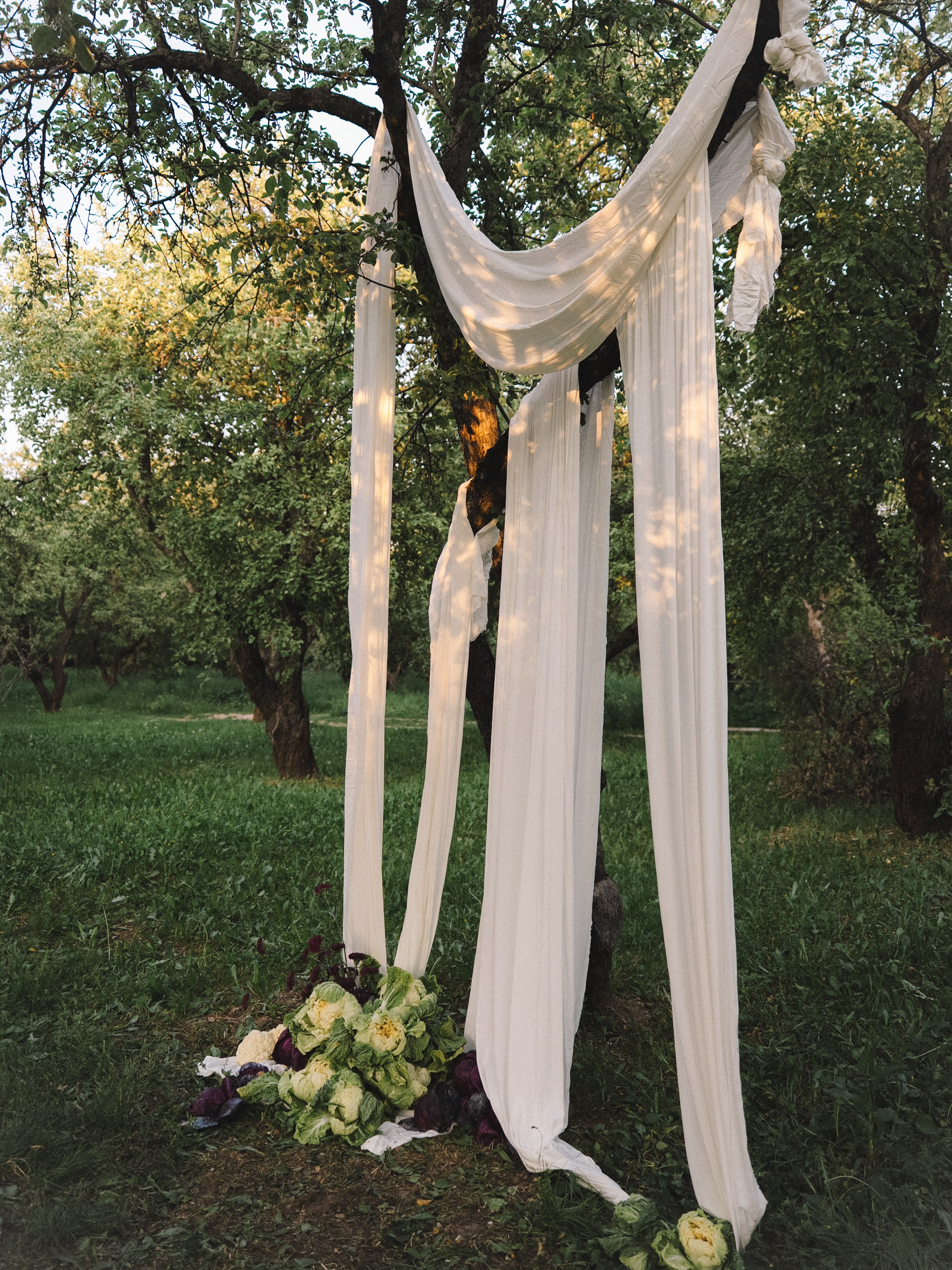 Свадебный фотограф в Москве Лиза Зиньковская