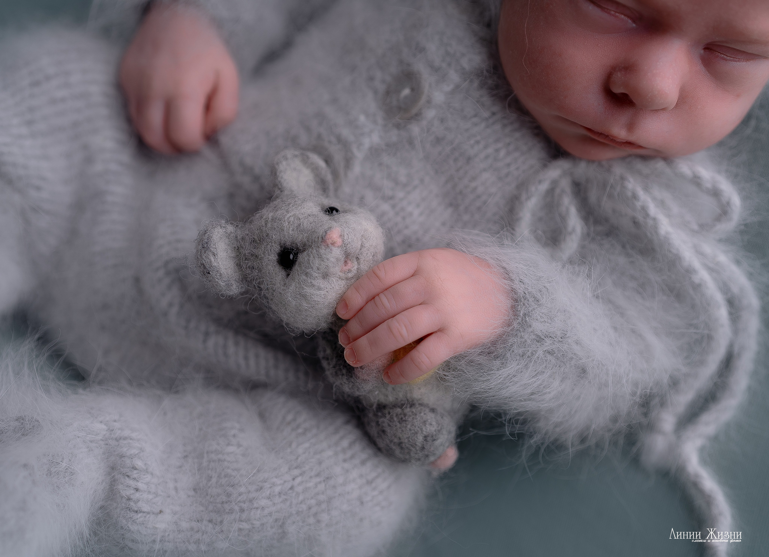 Гордей 21 день. Фотограф новорожденных в Нижнем Новгороде Сергеева Оксана