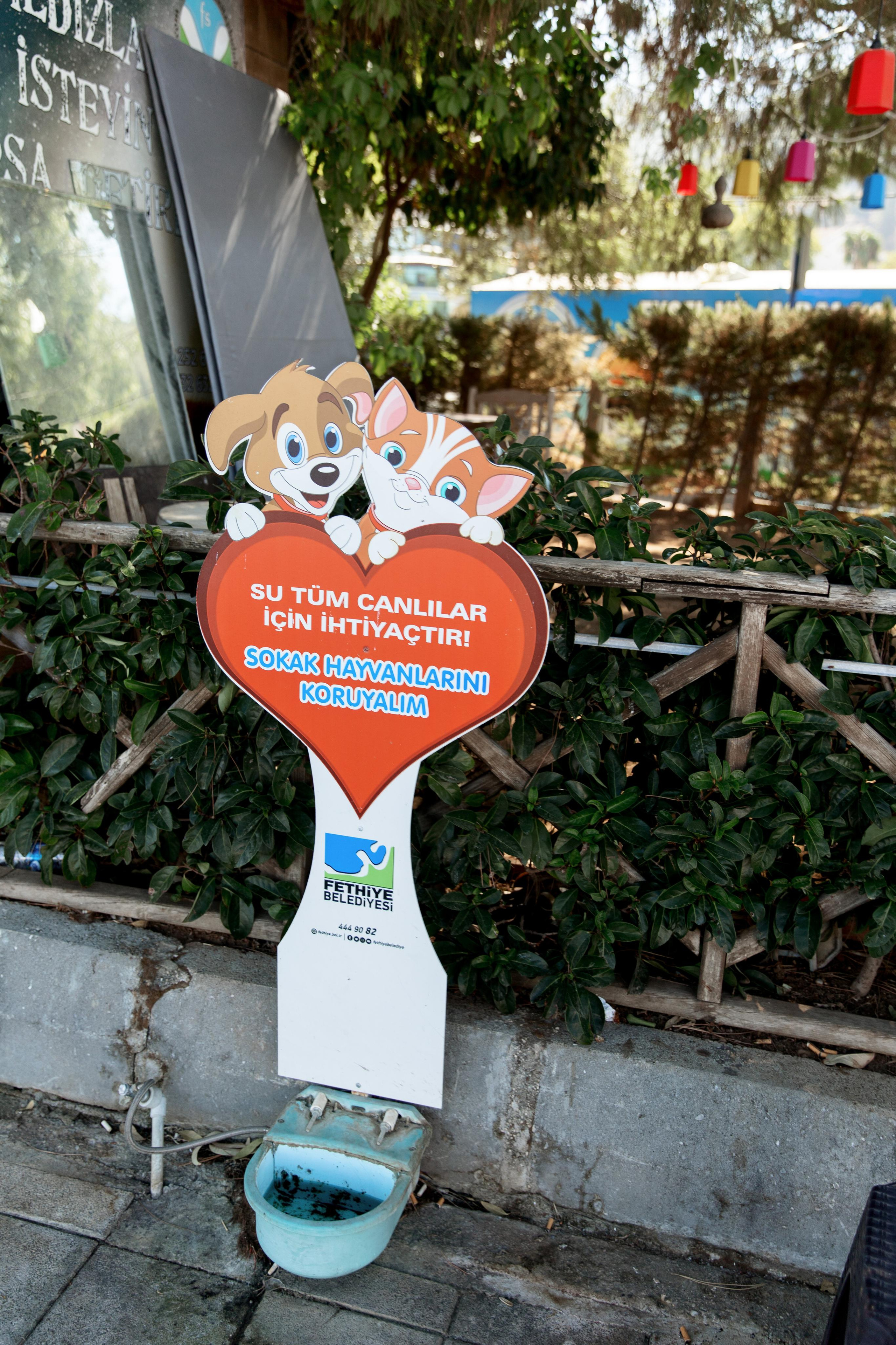 Турция 2021. Свадебный фотограф в Санкт-Петербурге Никита Кузякин