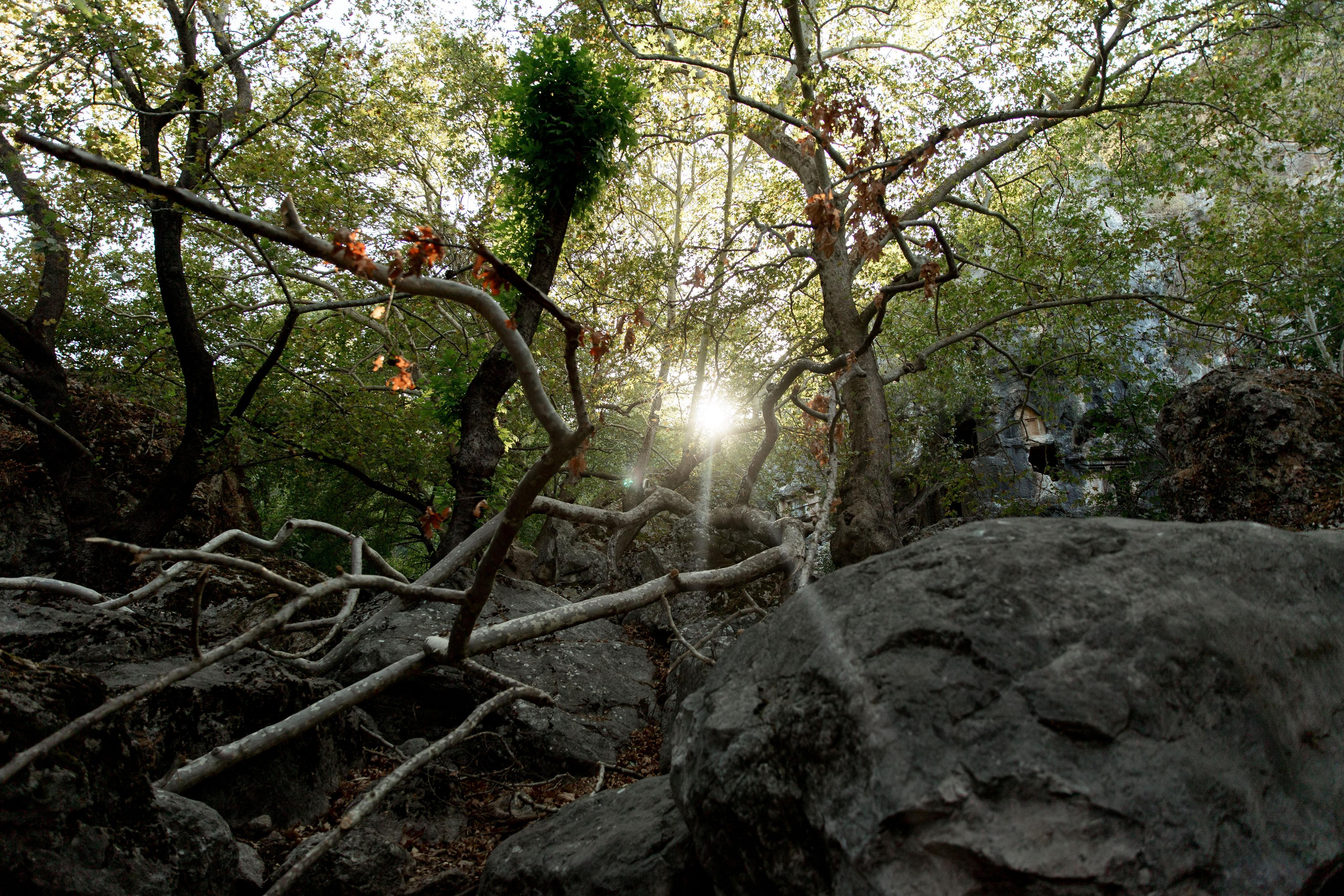 Турция 2021. Свадебный фотограф в Санкт-Петербурге Никита Кузякин
