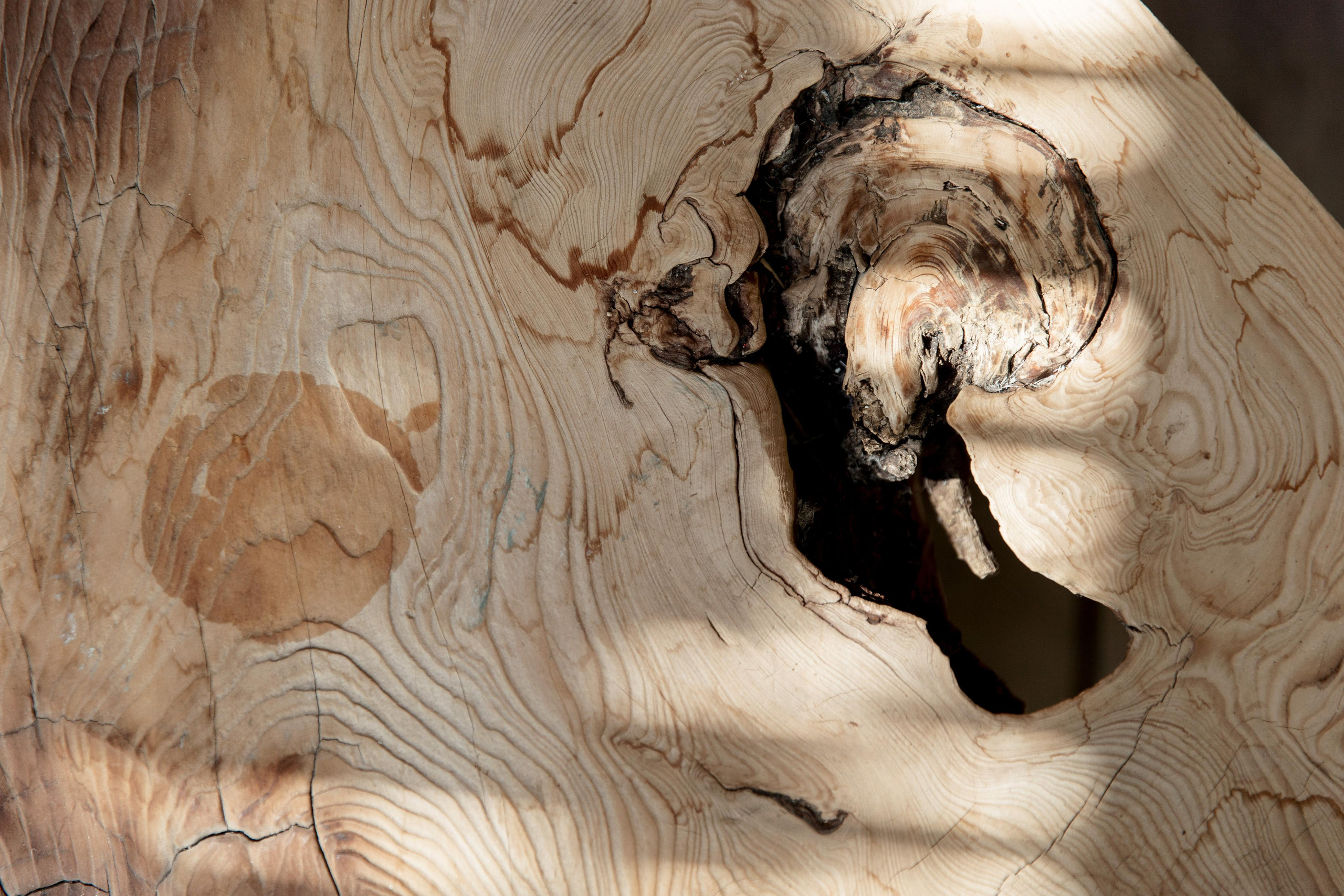 Турция 2021. Свадебный фотограф в Санкт-Петербурге Никита Кузякин