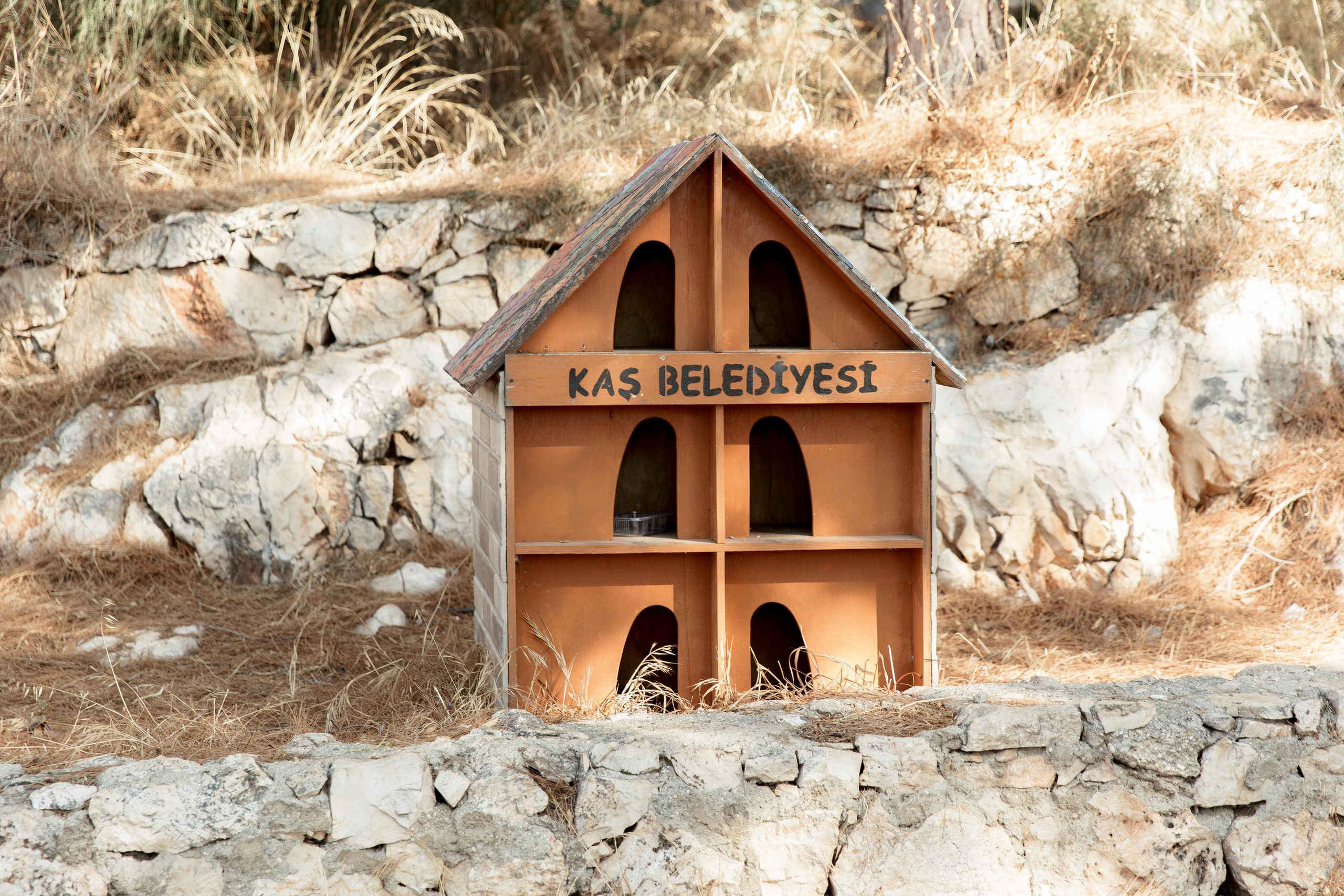 Турция 2021. Свадебный фотограф в Санкт-Петербурге Никита Кузякин