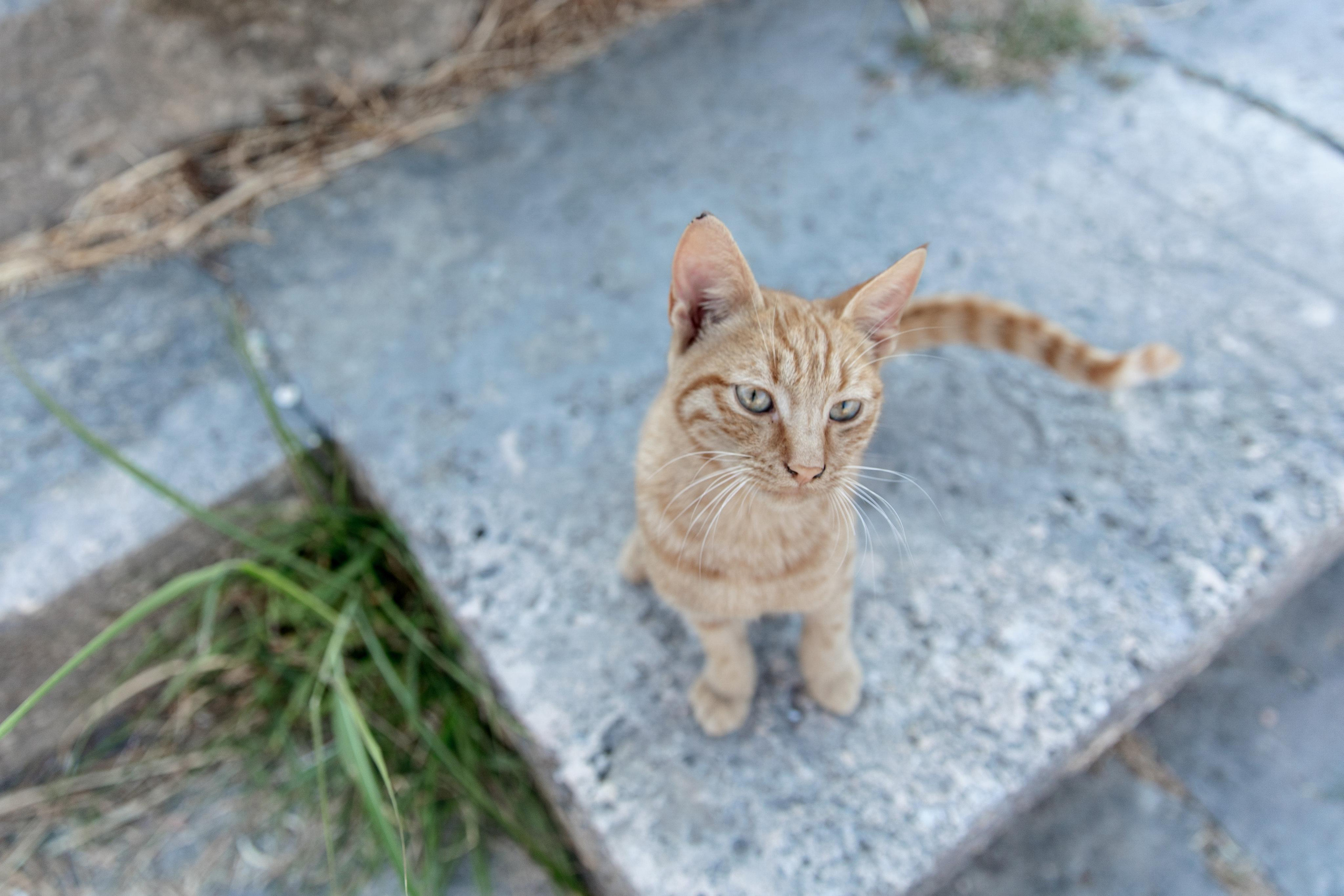 Турция 2021. Свадебный фотограф в Санкт-Петербурге Никита Кузякин