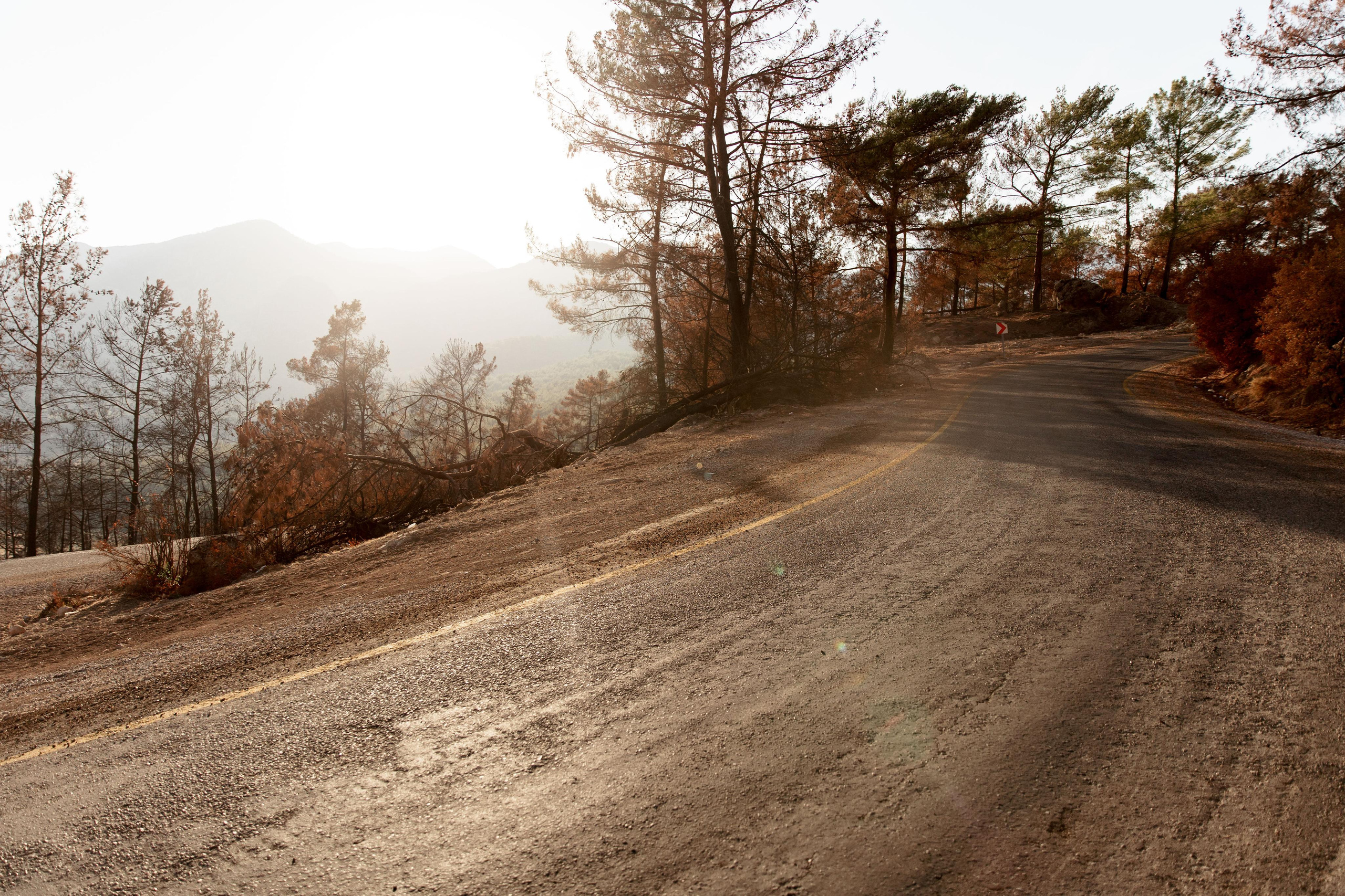 Турция 2021. Свадебный фотограф в Санкт-Петербурге Никита Кузякин
