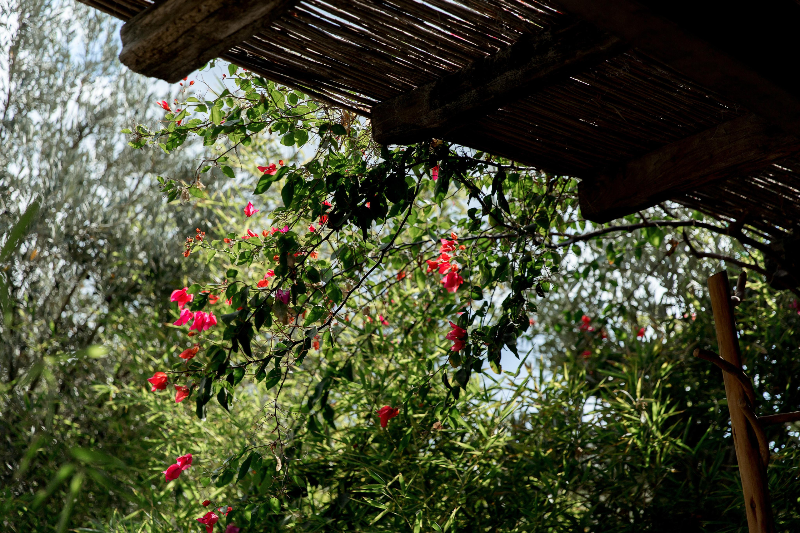 Турция 2021. Свадебный фотограф в Санкт-Петербурге Никита Кузякин