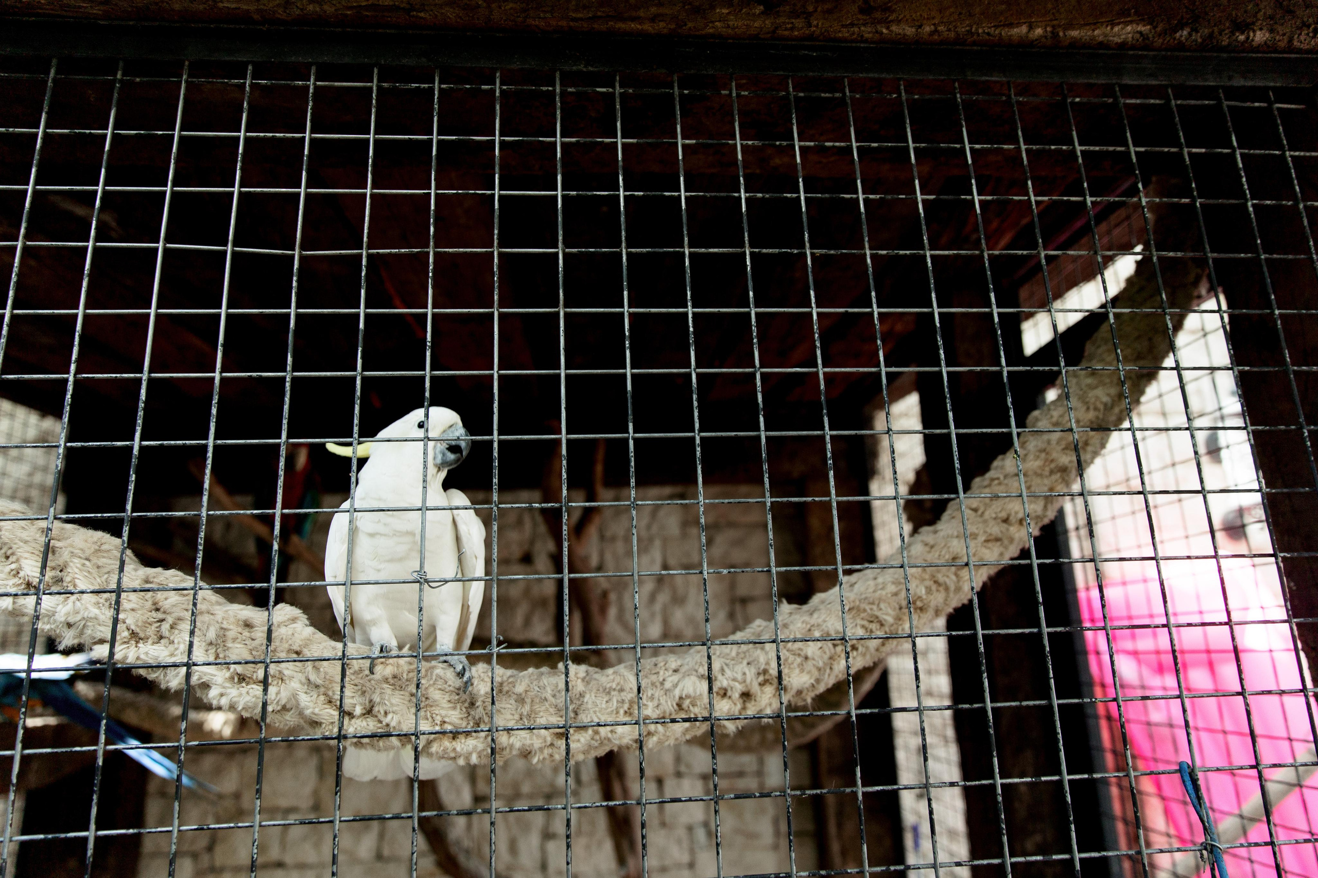 Турция 2021. Свадебный фотограф в Санкт-Петербурге Никита Кузякин