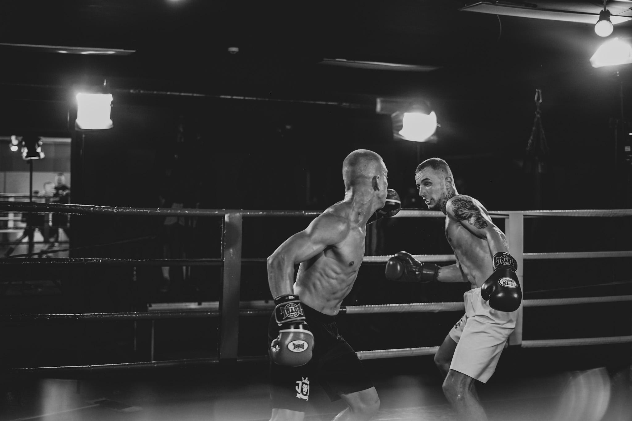 Jungle King. Beardy Pix