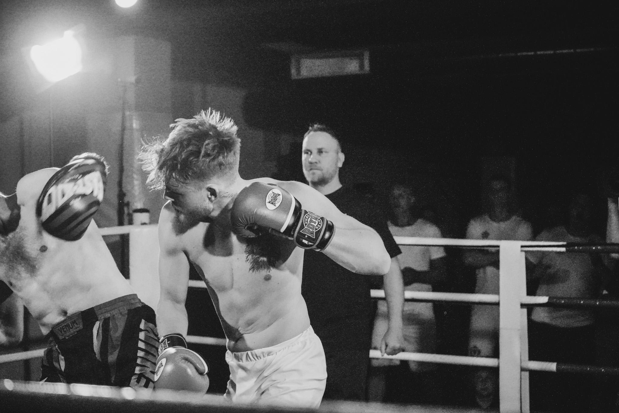 Jungle King. Beardy Pix