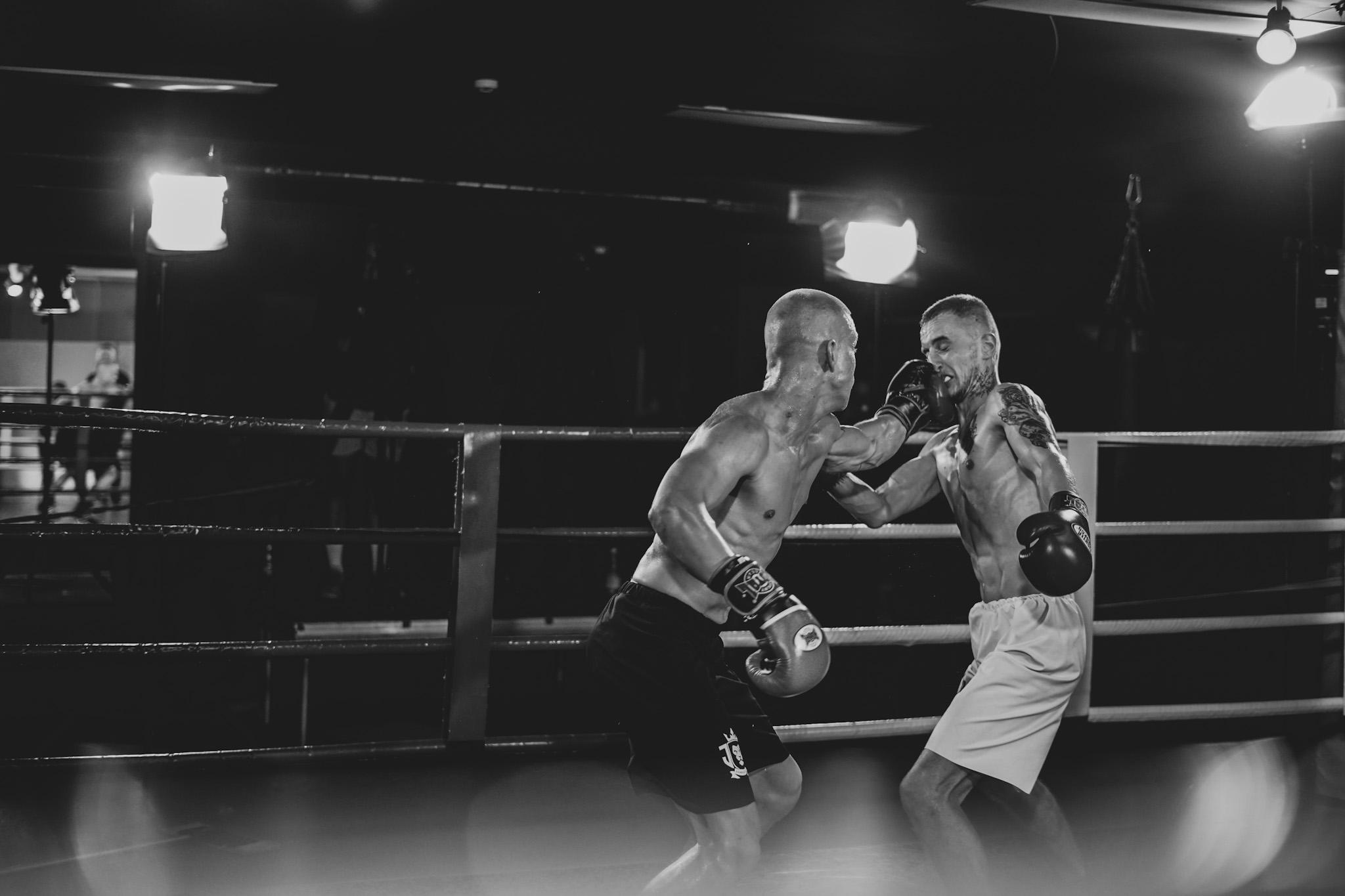 Jungle King. Beardy Pix