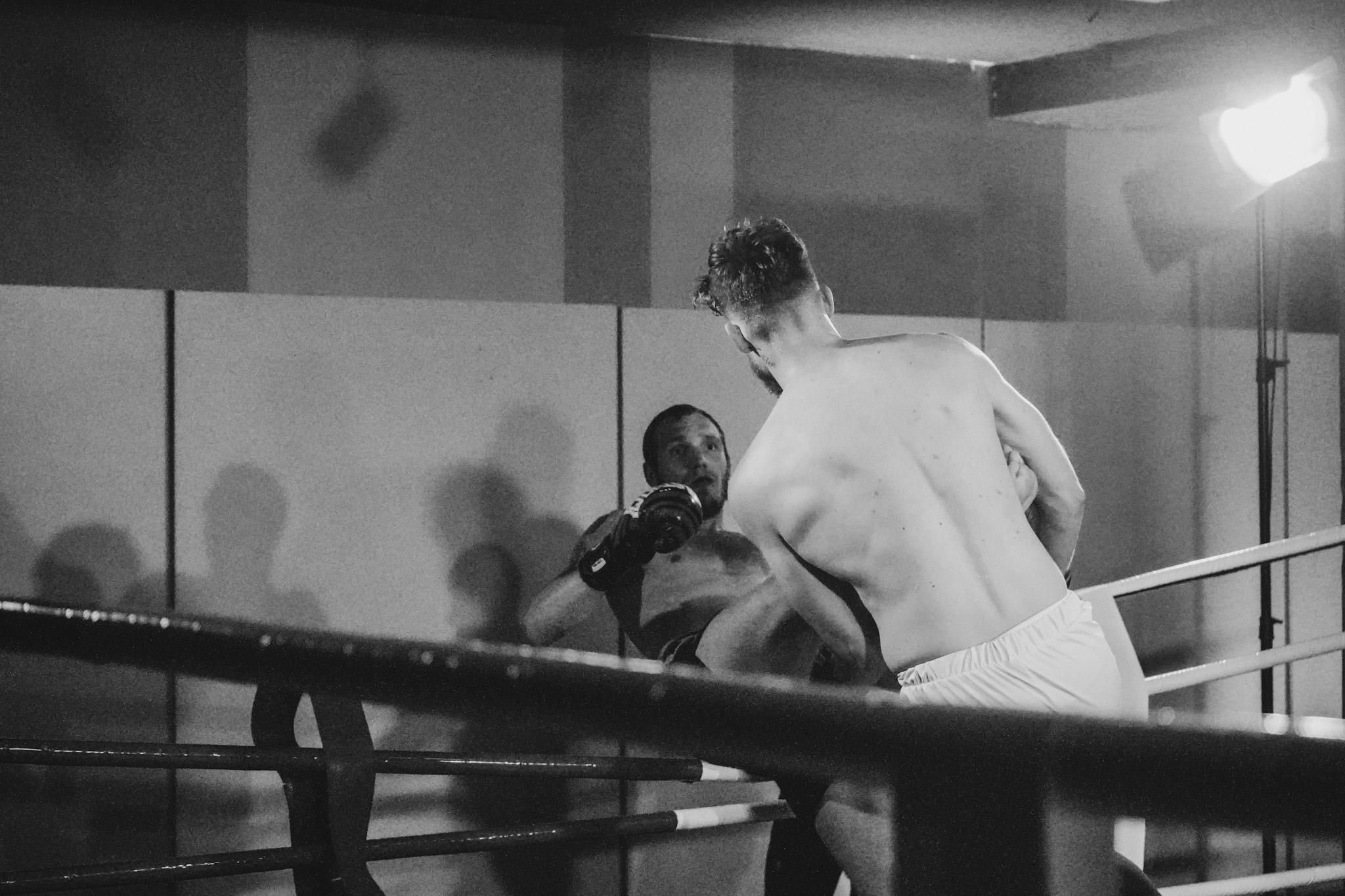 Jungle King. Beardy Pix