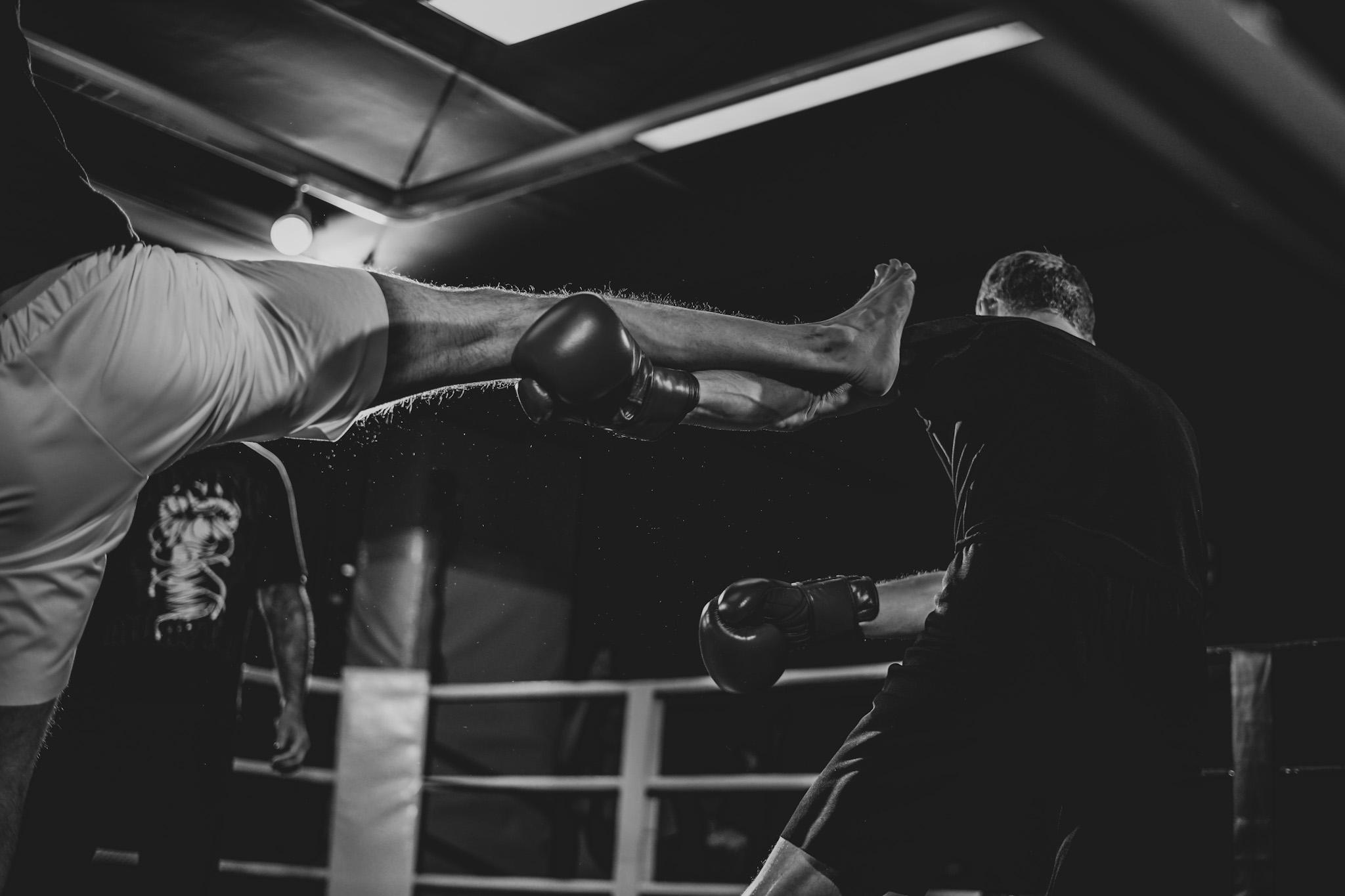 Jungle King. Beardy Pix