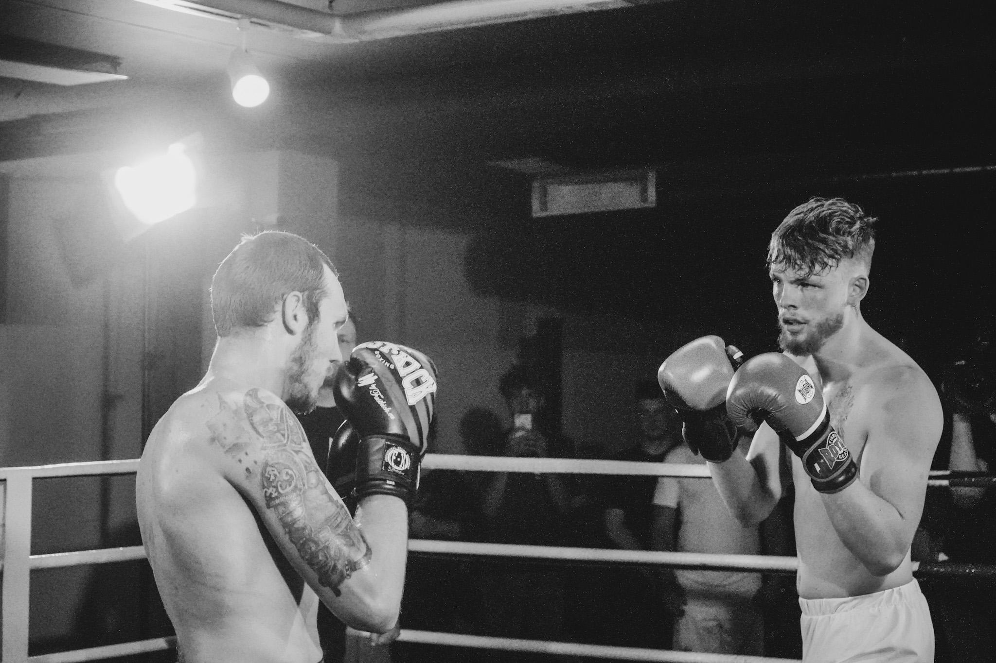 Jungle King. Beardy Pix