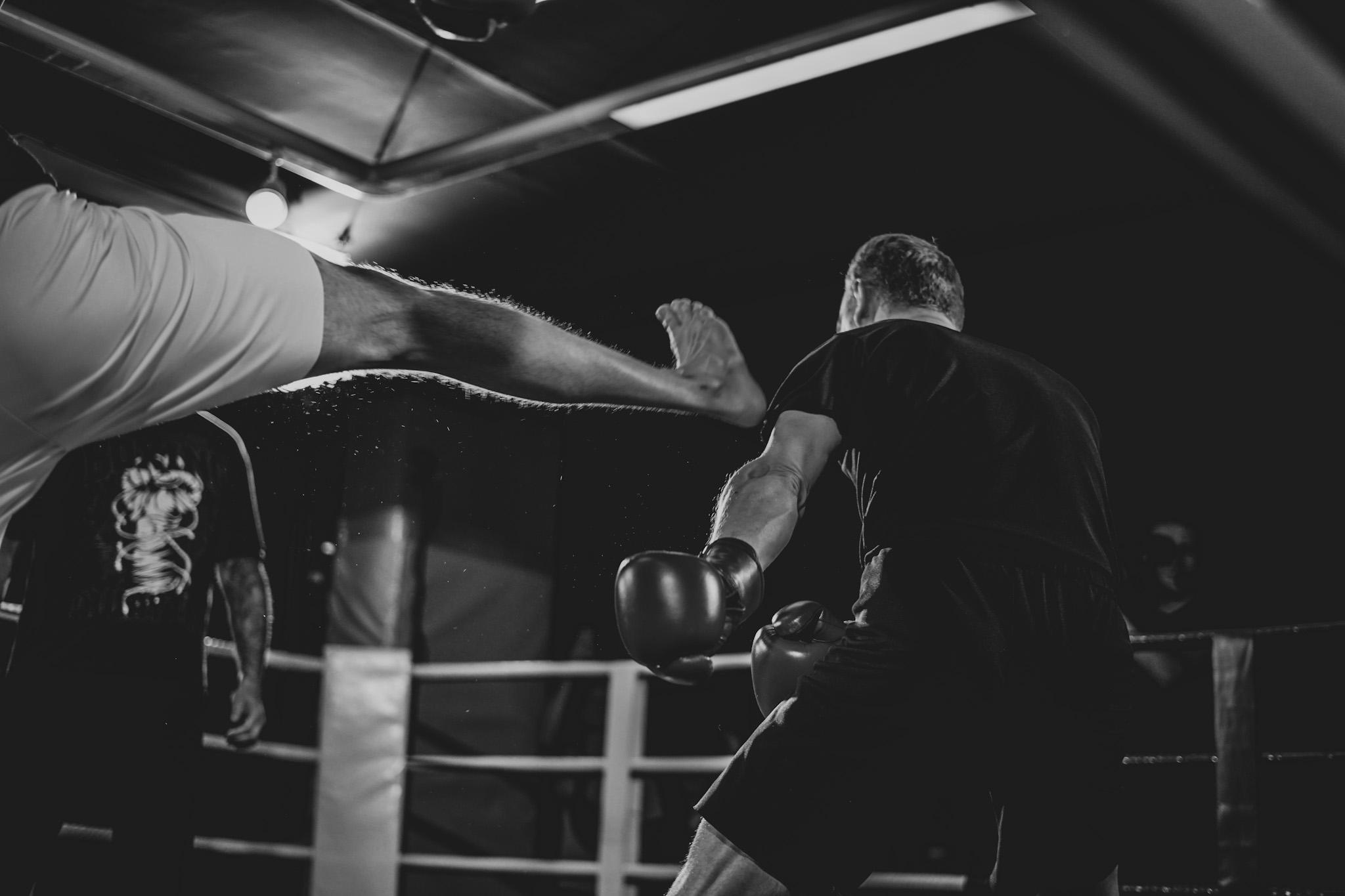 Jungle King. Beardy Pix