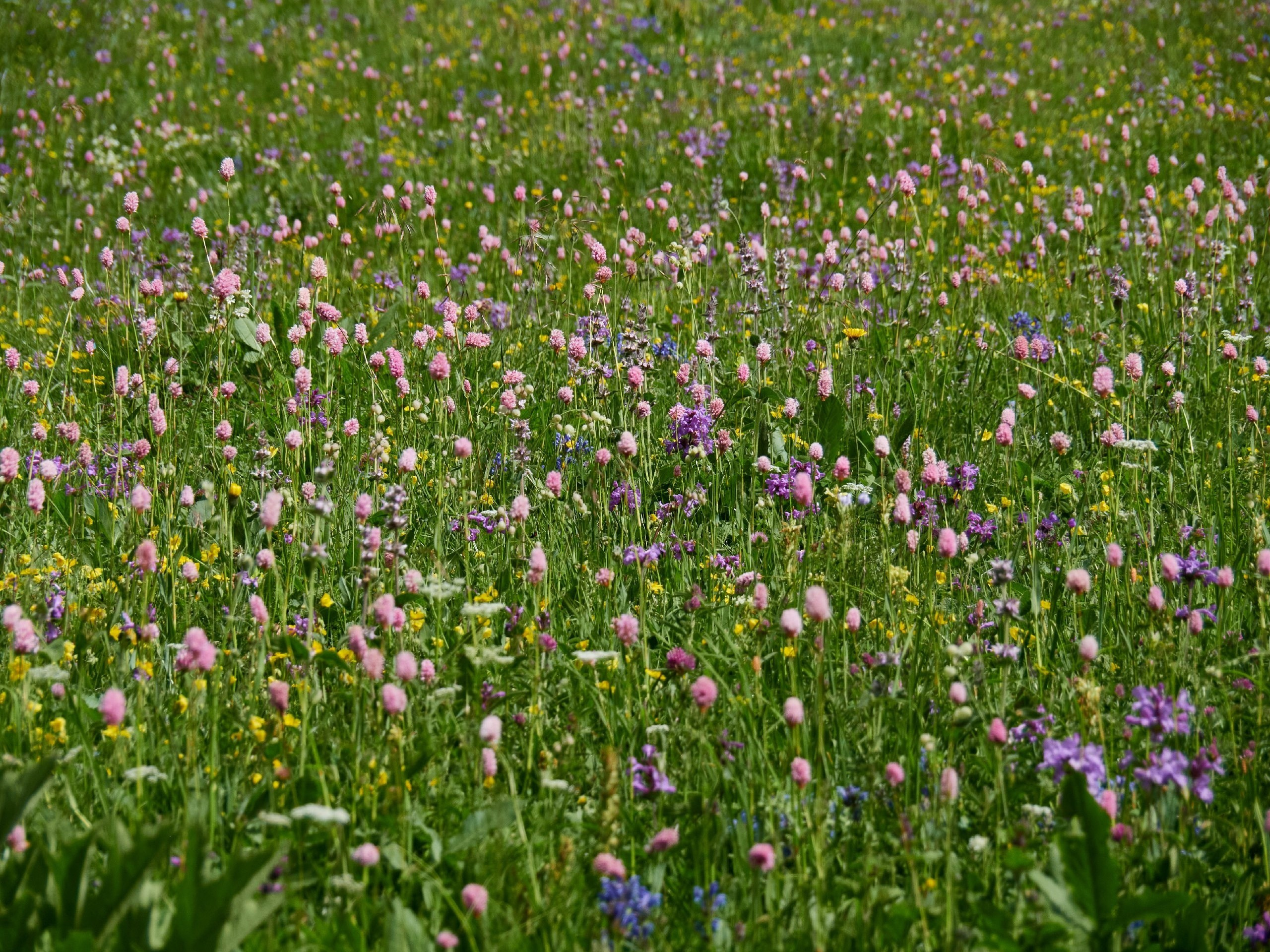 Горный, высотный Фотограф на Эльбрусе Георгий