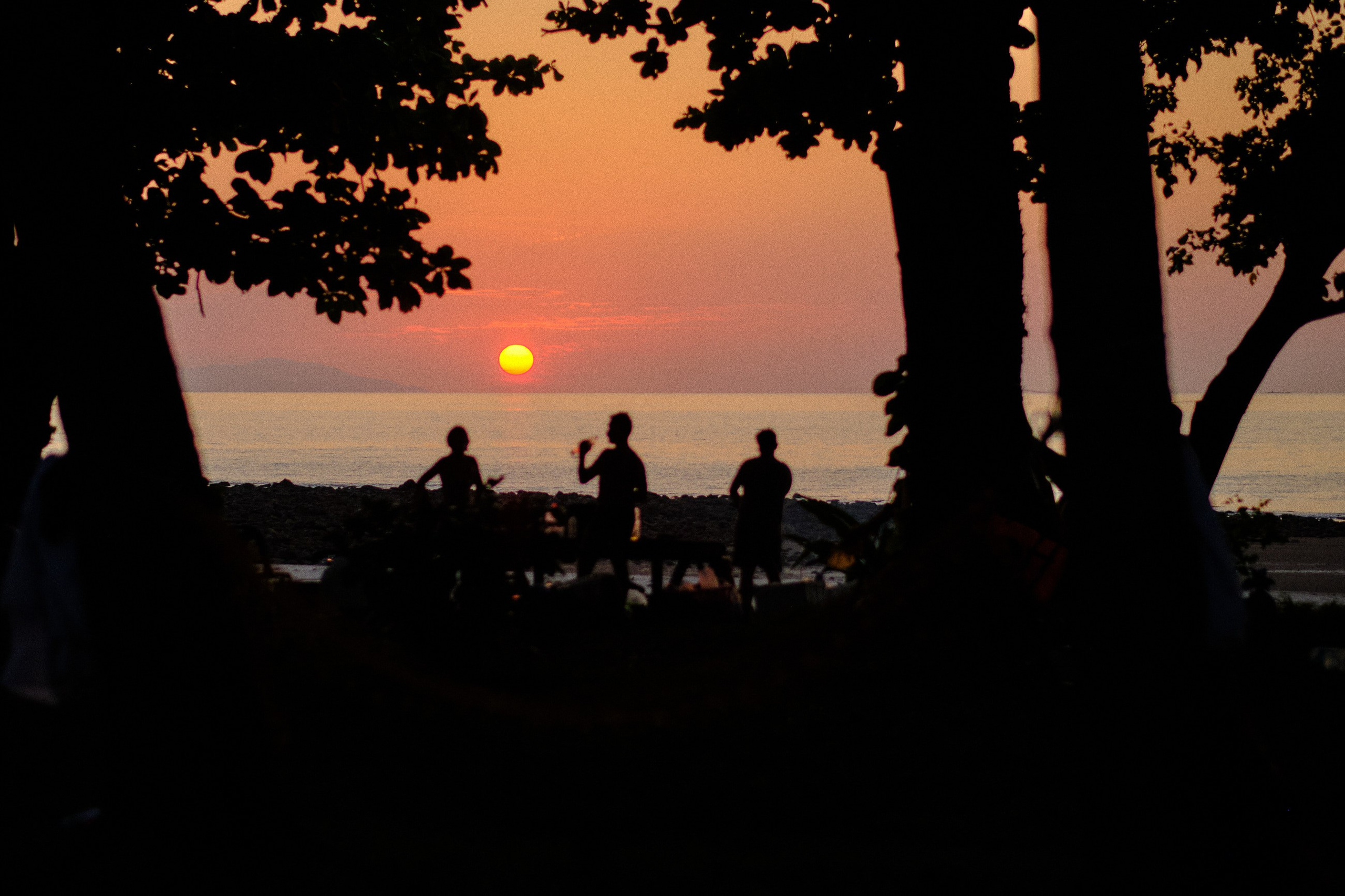 Главная. Юрий Березнюк. Фотограф в Новороссийске. Фотожурналистика