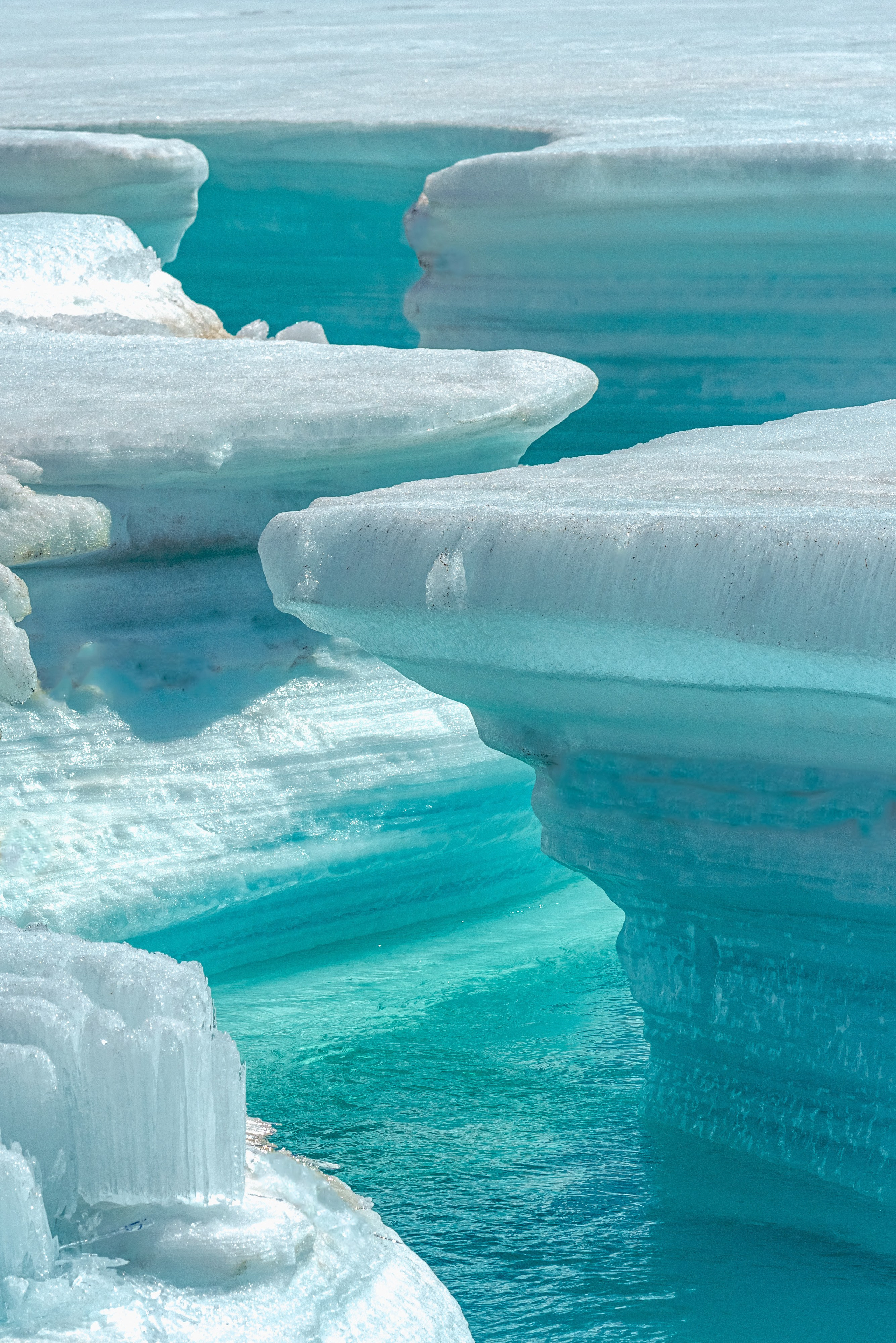 Хребет Кодар