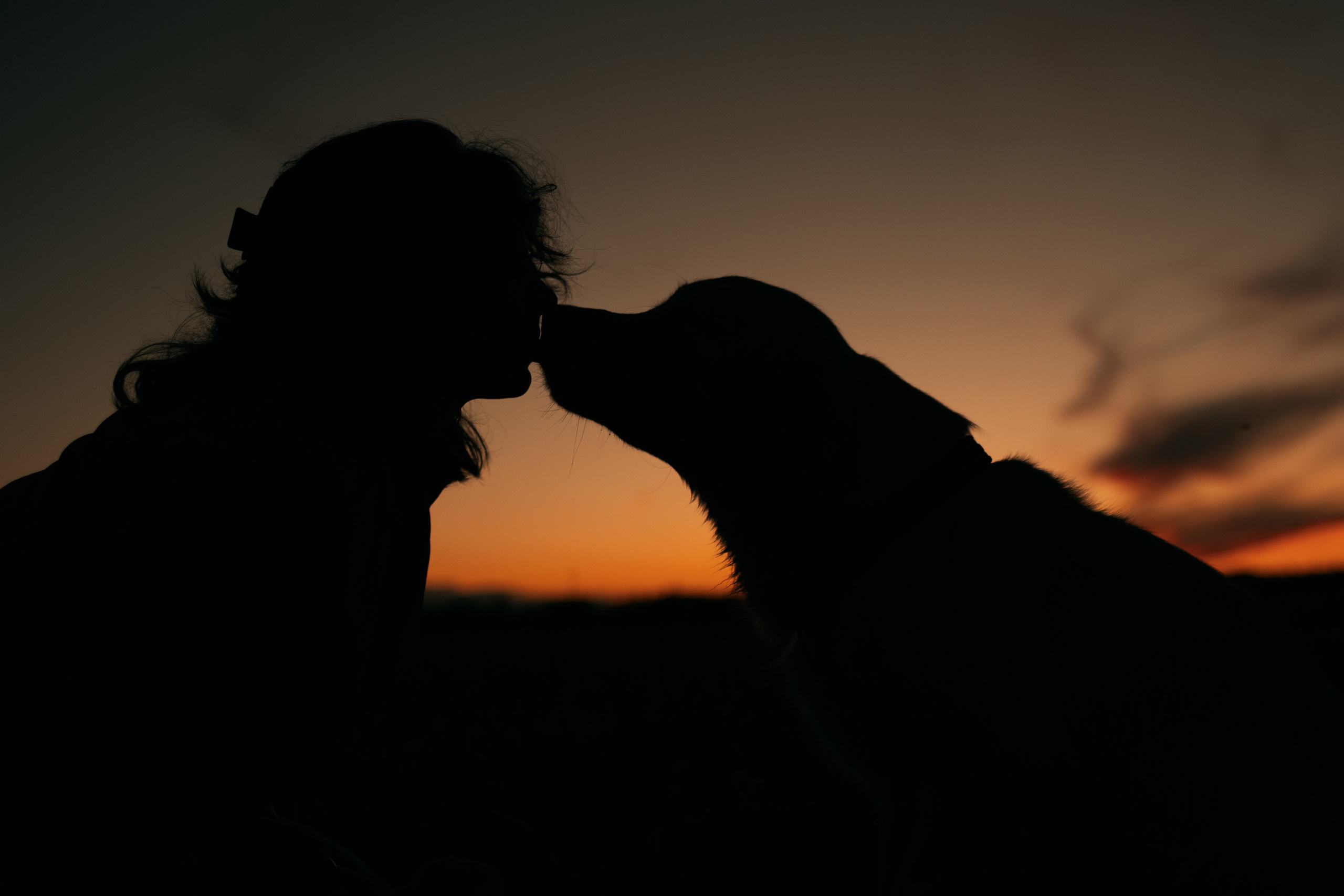 Руководство по сторис. Фотограф — Анималист | Санкт-Петербург